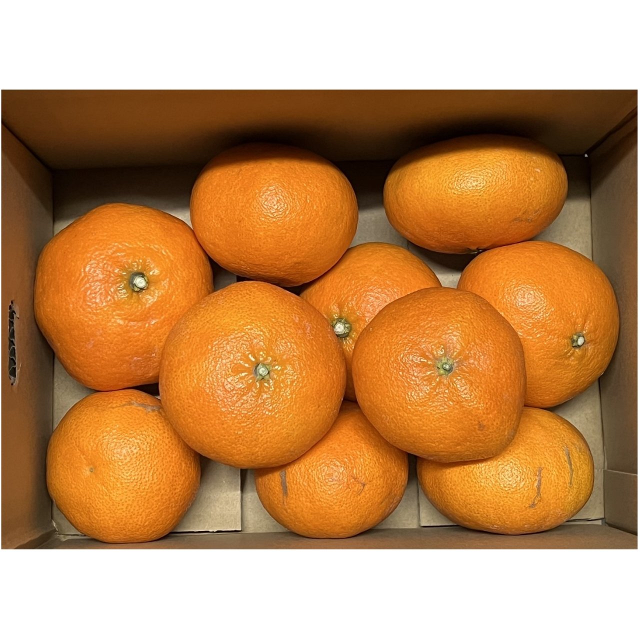 ☆木下さんちの甘平☆家庭用2.5キロ | 果物/オレンジ・その他みかん