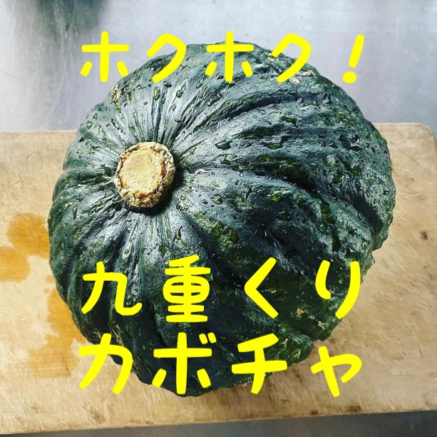 九重くりカボチャ 2玉 ｜ 野菜/かぼちゃ 産直アウル 農家・漁師など