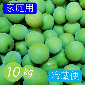 冷蔵便》【家庭用】青梅 10kg 愛媛県産 梅ジュース 梅シロップ 梅干し
