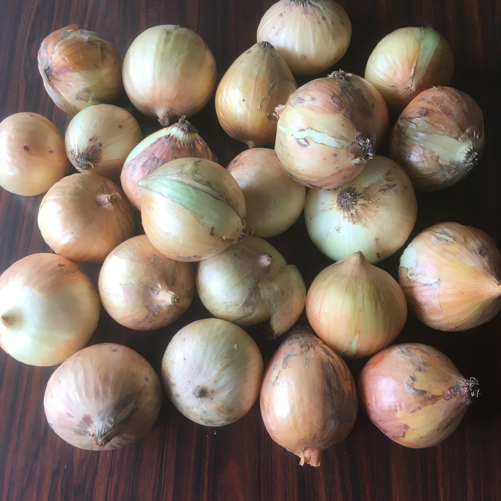 2.5kg小ぶり/農薬化学肥料不使用/淡路島新玉ねぎ ｜ 野菜/玉ねぎ 産直