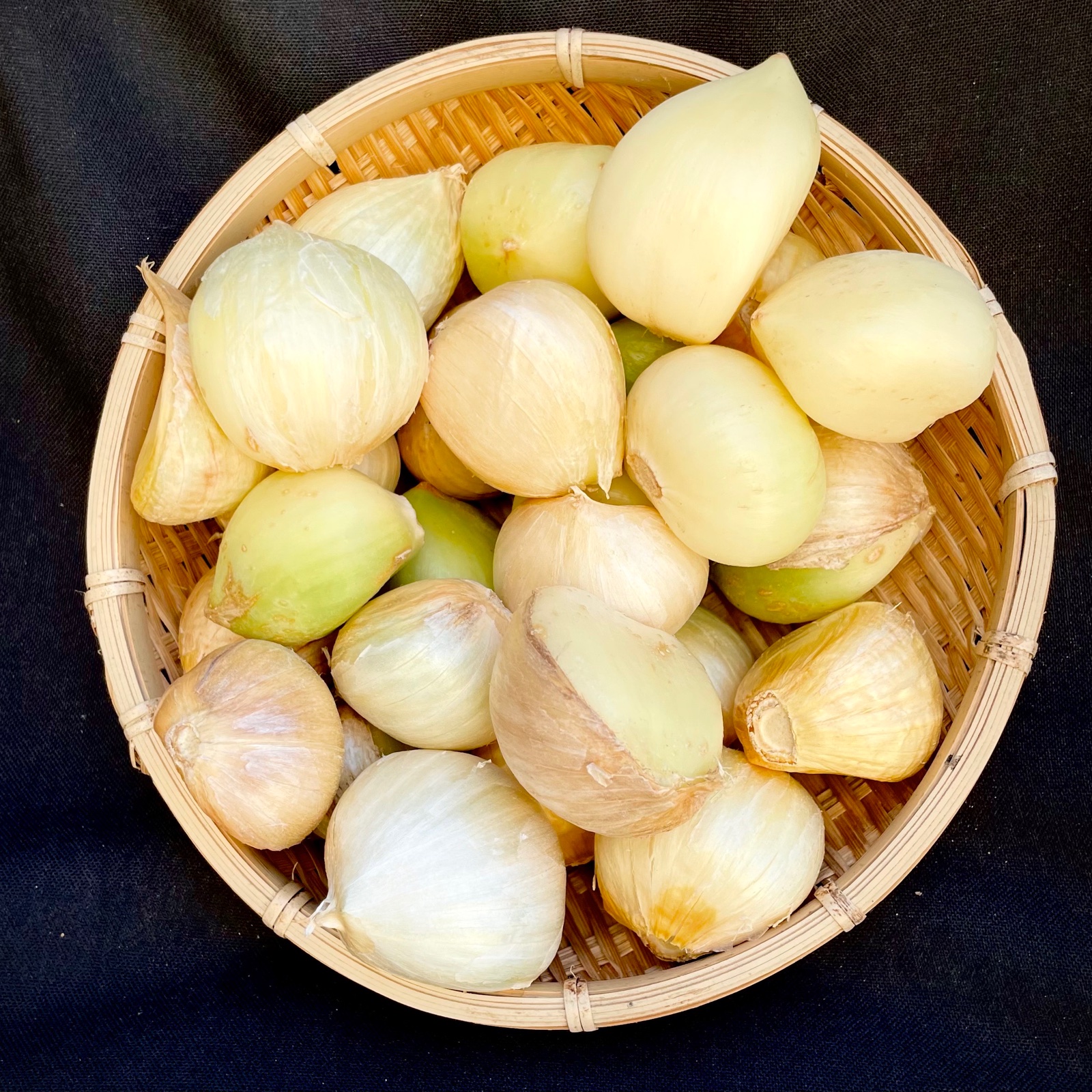 ジャンボにんにく 種子 ｜ 野菜/にんにく 産直アウル 農家・漁師など