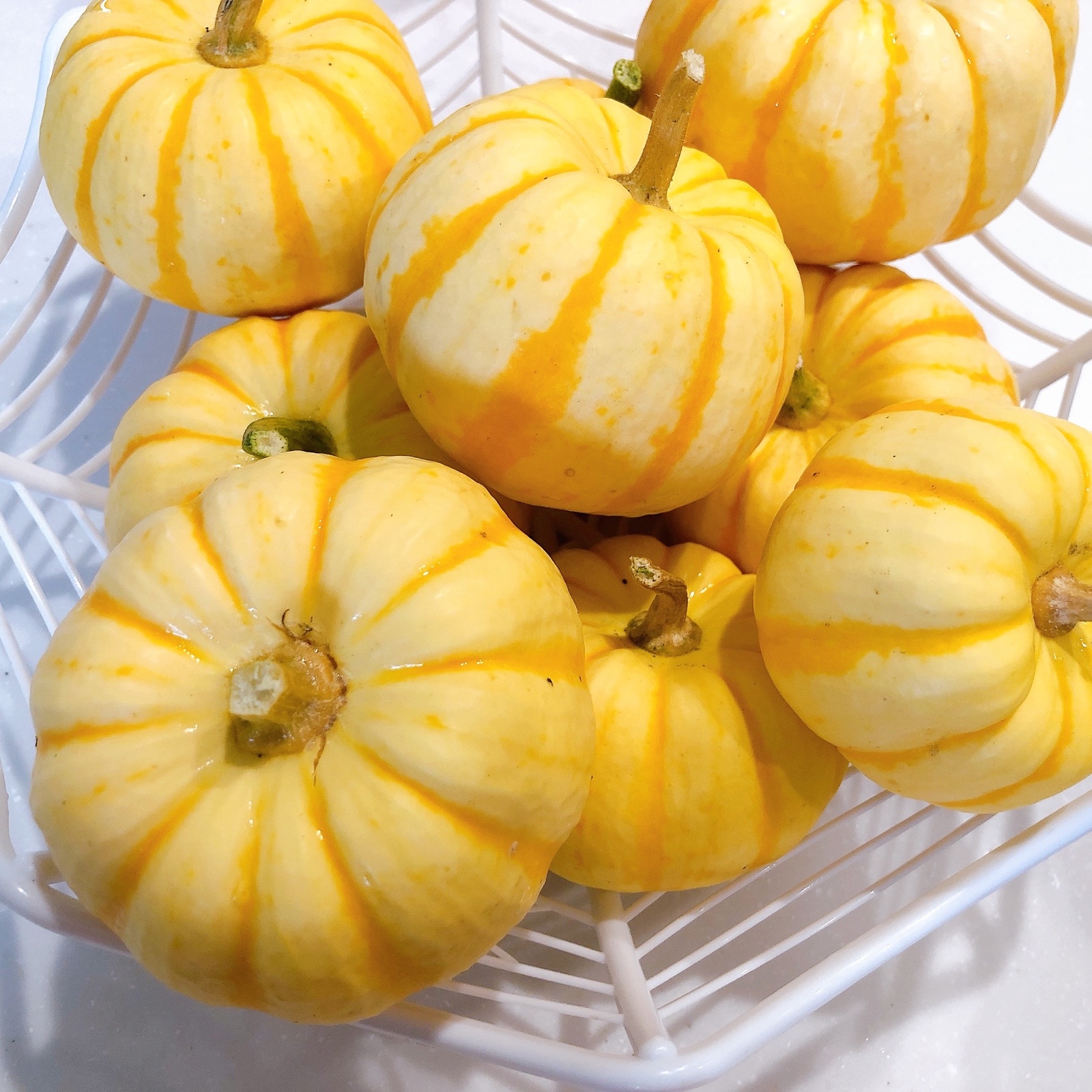 ぽちゃ 生花/即納】かぼちゃ プッチーニ 2L - 花材通販はなどんやアソシエ