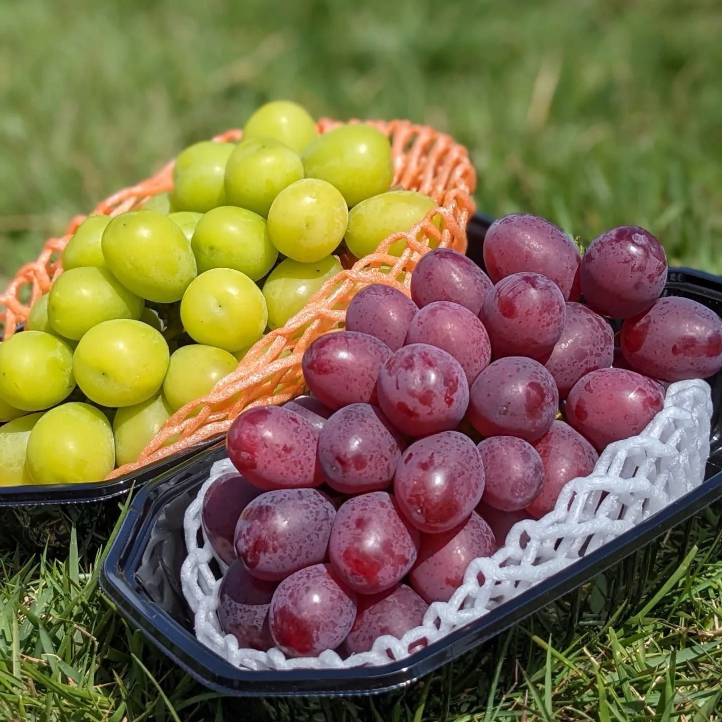 b22efc55ad4f010ed259f9dddb0c36