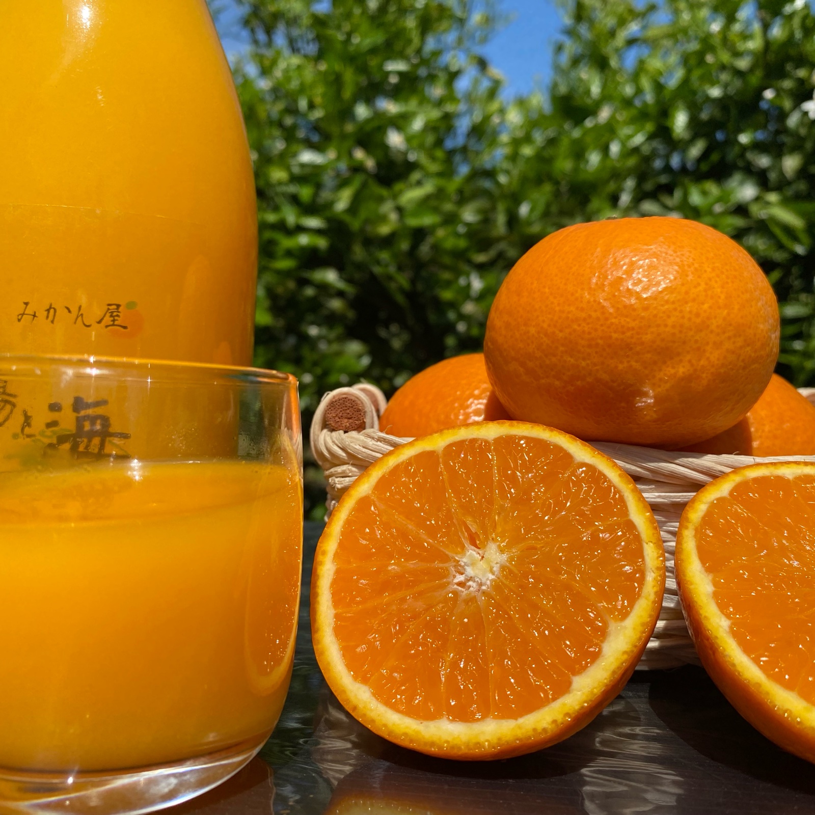 太陽と海🍊オリジナルブレンドジュース🥤（720ml×2） ｜ 飲料/ジュース