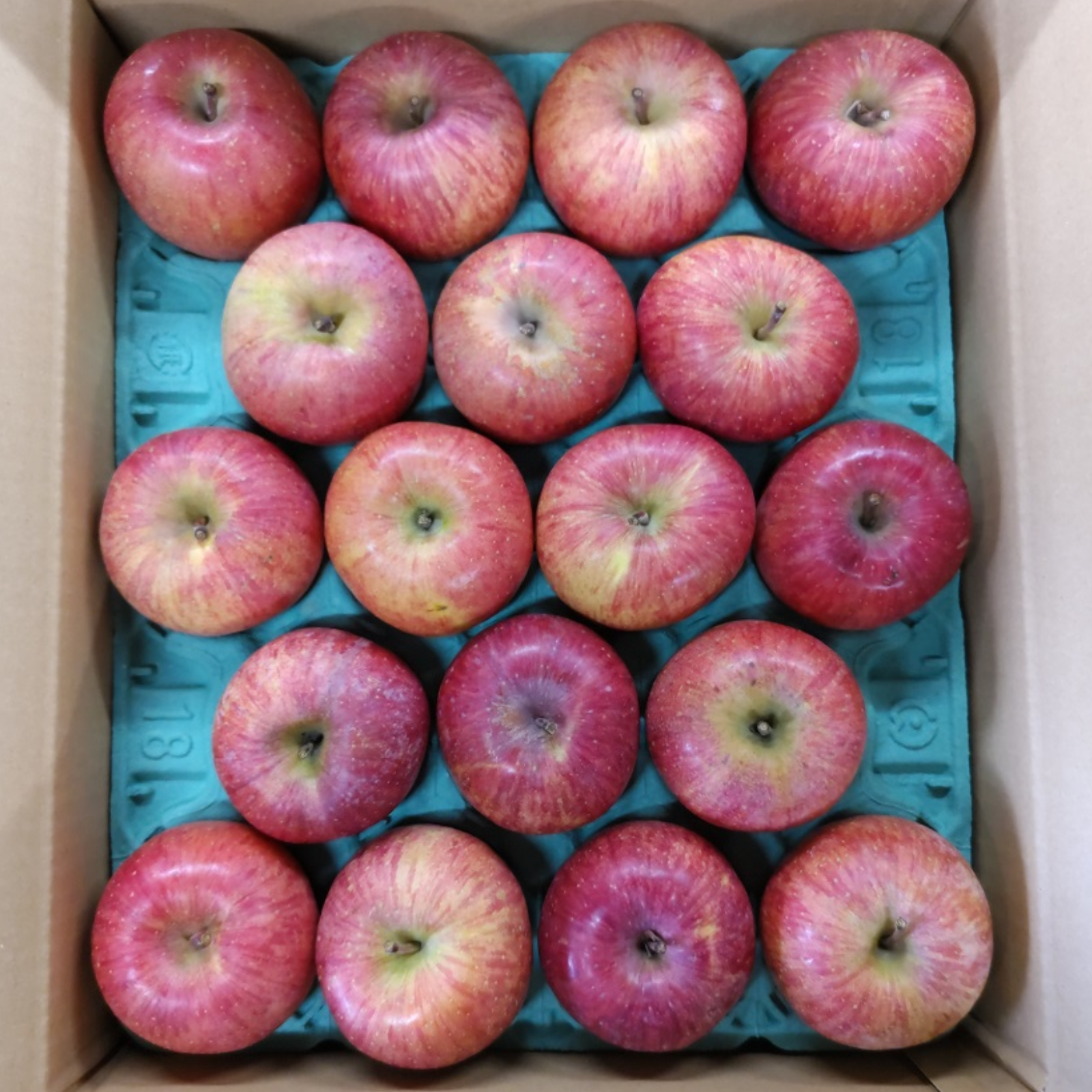 栽培中農薬不使用　高徳6玉　大玉贈答品　家庭用多種多様セットリンゴ9キロ