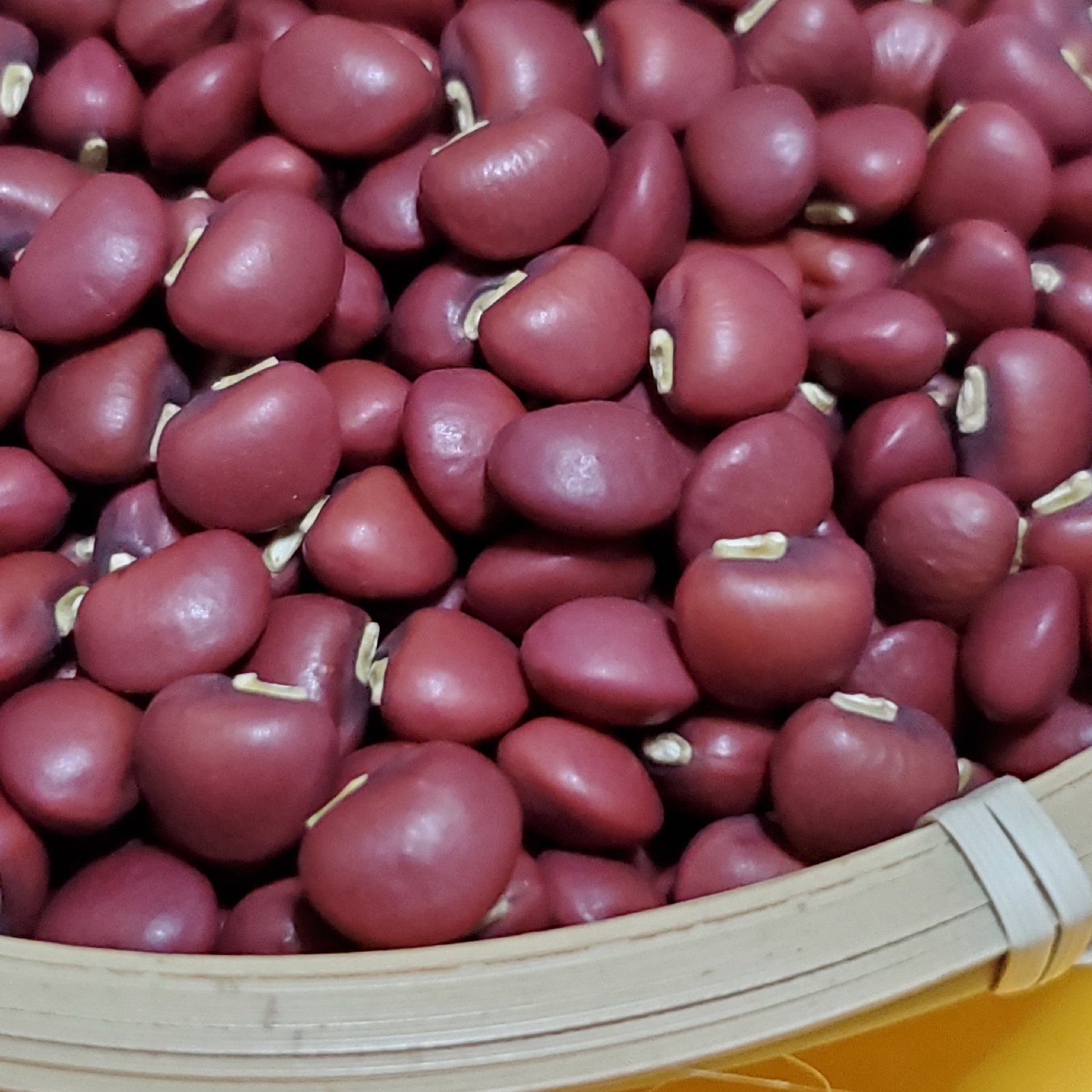 達磨ささげ 無農薬 無肥料で丁寧に育てました ｜ 野菜/豆類 産直アウル 