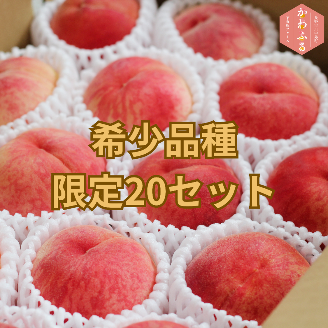 大玉 5キロ2箱セットクール便 今日限定 長野桃　ワッサー