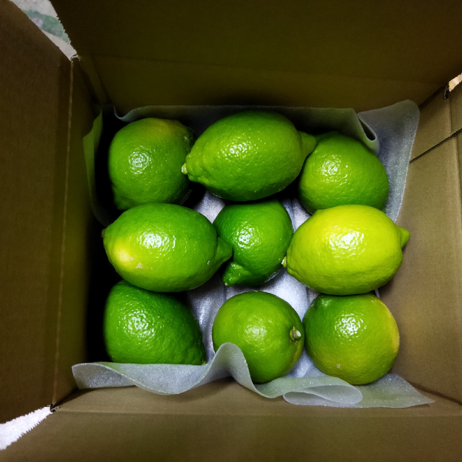 お試し！瀬戸田産グリーンレモンコンパクトサイズ | 果物/香酸柑橘