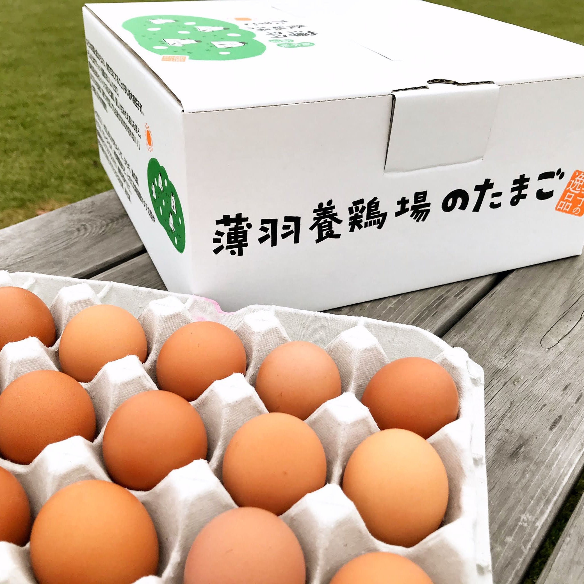 期間限定【赤卵・初たまご】『黒麴』育ちの鶏の初たまご ｜ 卵/鶏卵