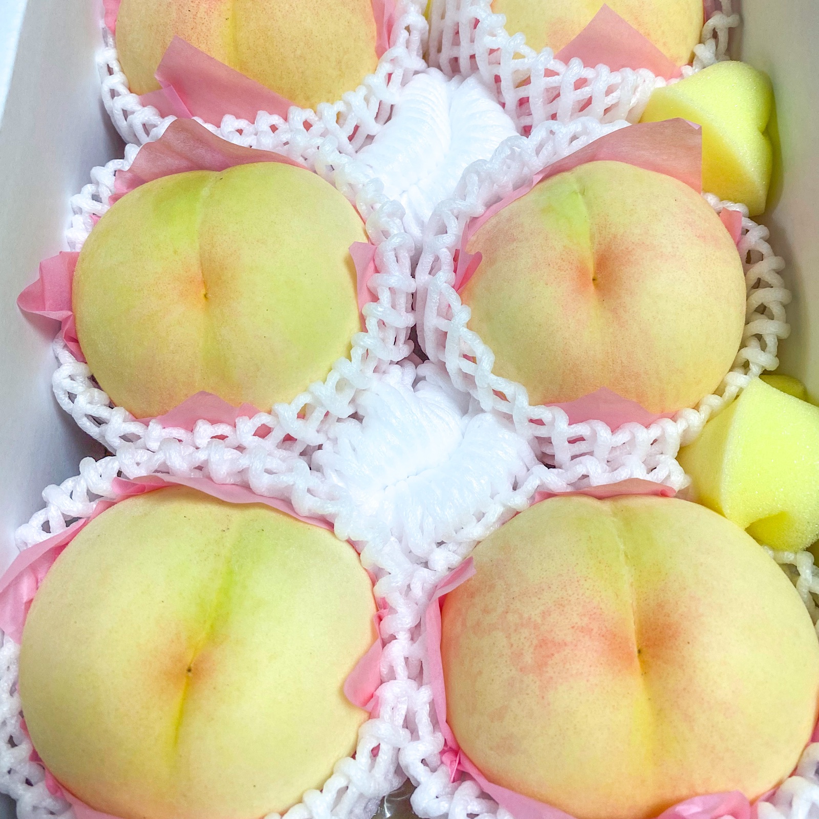 岡田様専用家庭用夢白桃2kg×2箱 ｜ 果物/もも 産直アウル 農家・漁師