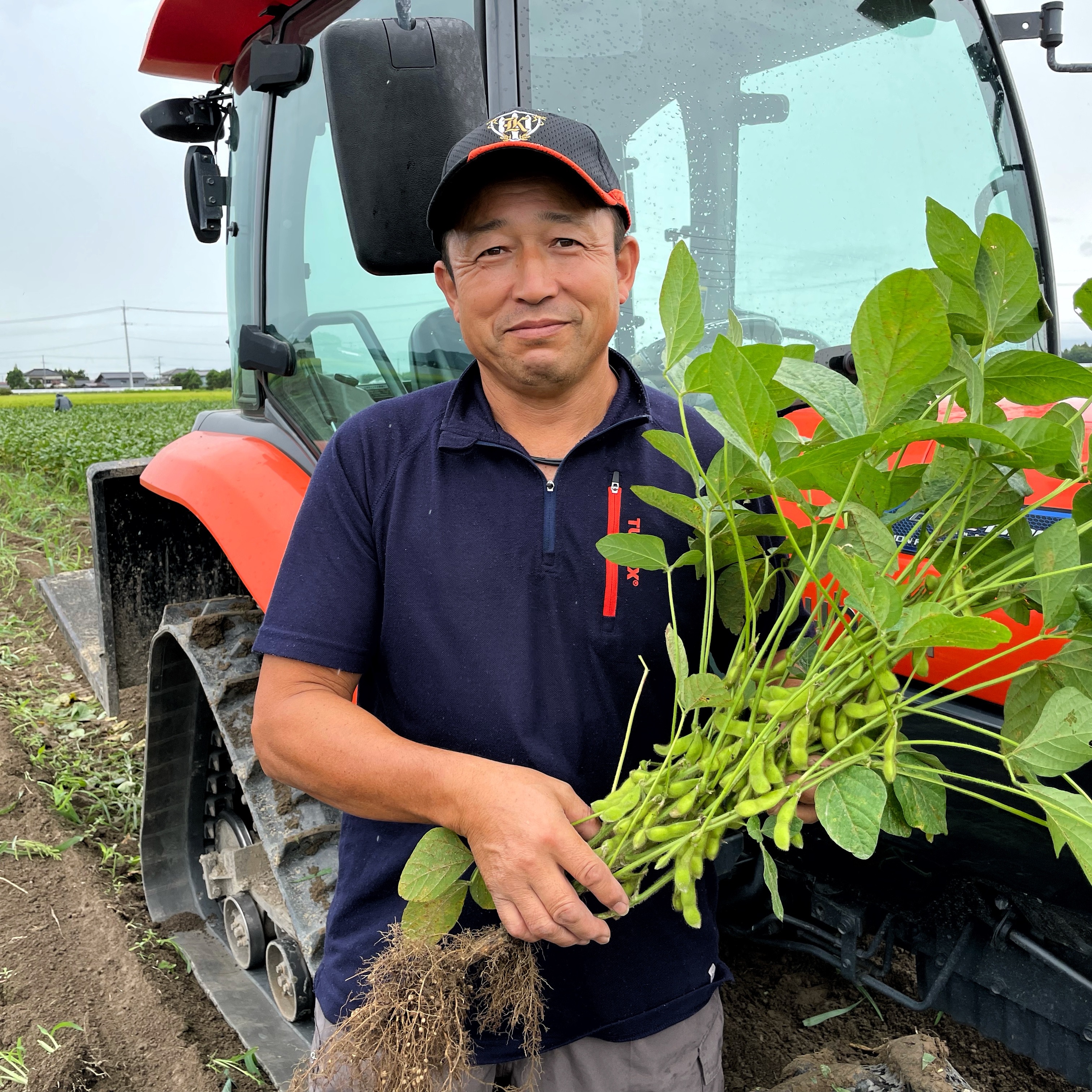 本場 鶴岡市白山産だだちゃ豆 3k ｜ 野菜/枝豆 産直アウル 農家・漁師