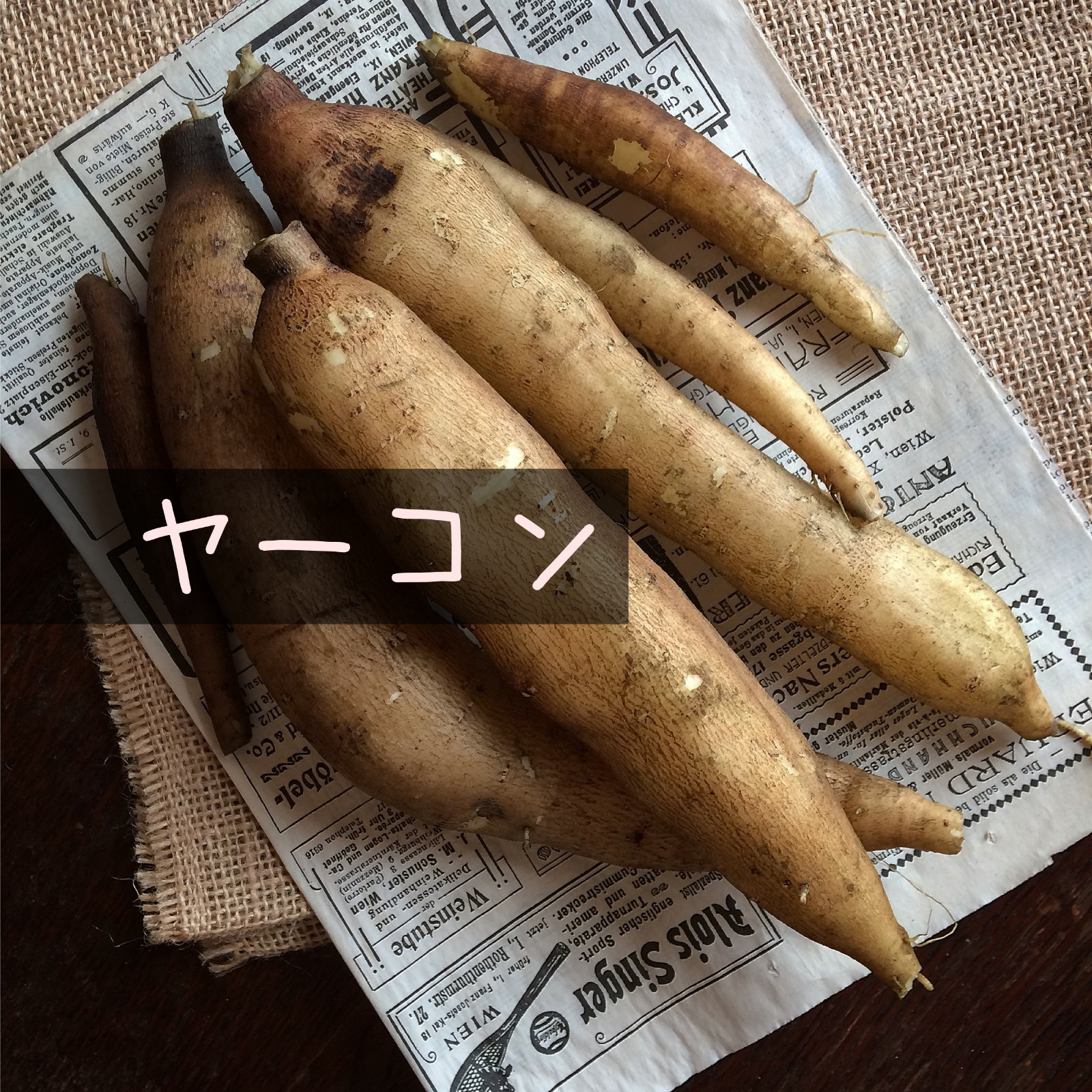 自然栽培】ヤーコン2kg☆農薬・肥料不使用｜梨のような食感と味