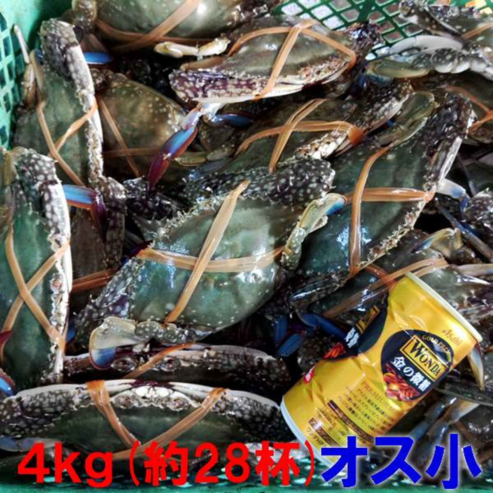 ワタリガニ オス小サイズ4kg（約28杯） 渡り蟹 ガザミ 梭子蟹