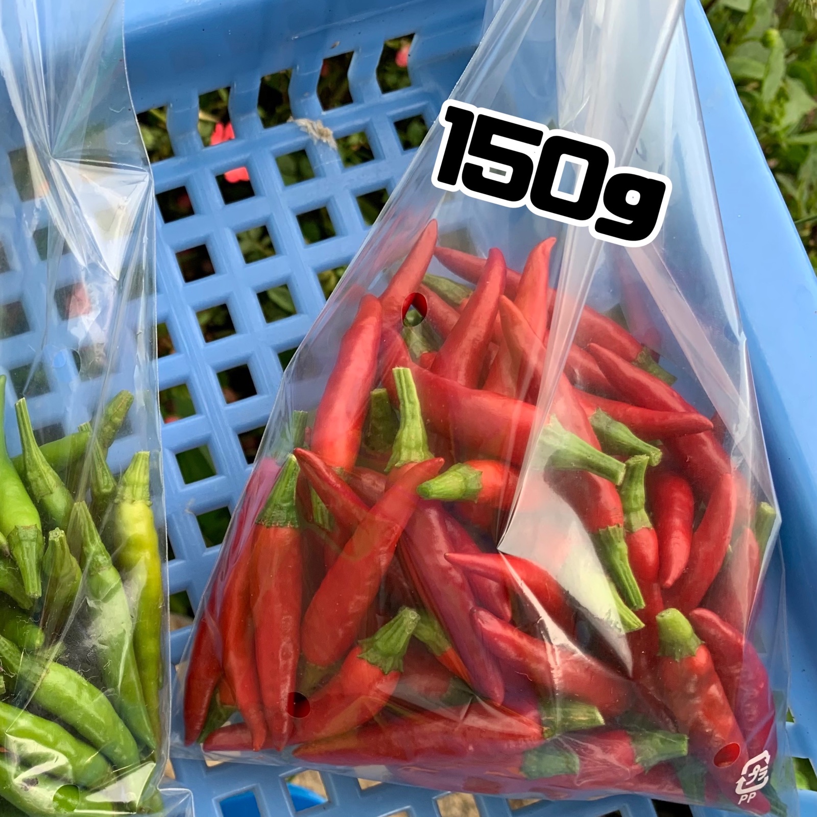 赤唐辛子　訳あり品5000g生 赤唐辛子 訳あり品5000g生