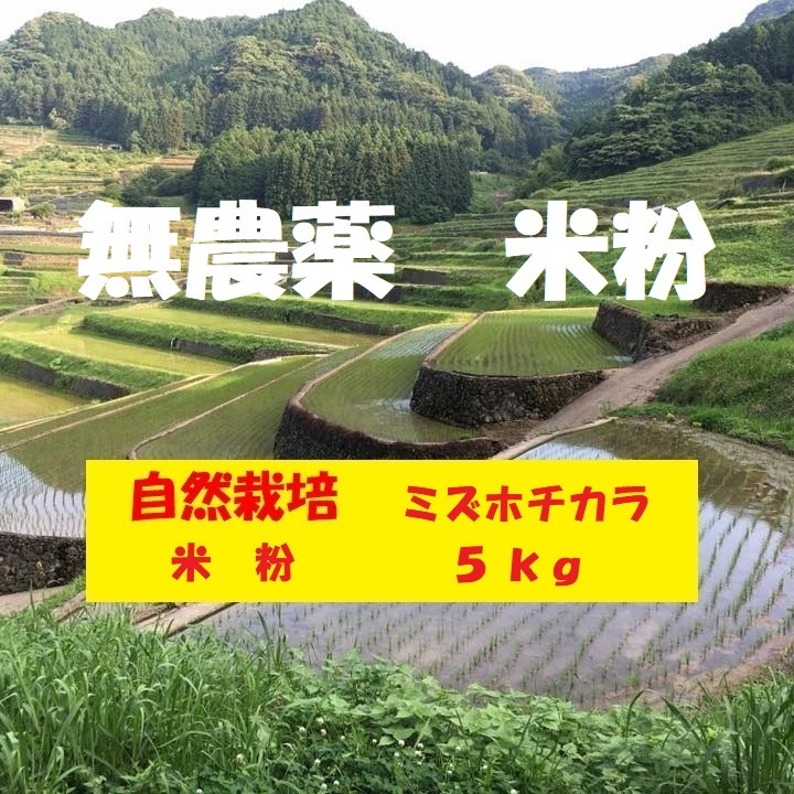 3月セール】自然栽培「ミズホチカラ」米粉 5kg ｜ 米・穀物/粉類