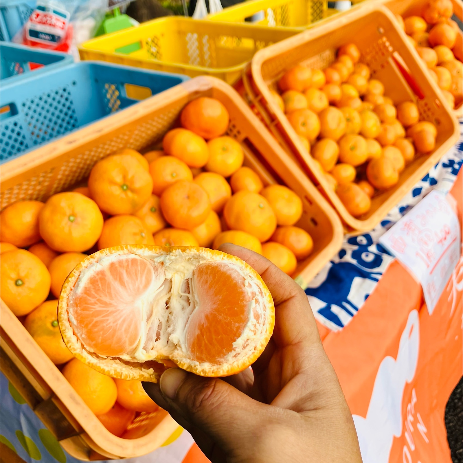 みかん 完熟晩生みかんSML混合4.5kg🍊 ｜ 果物/温州みかん 産直アウル 農家
