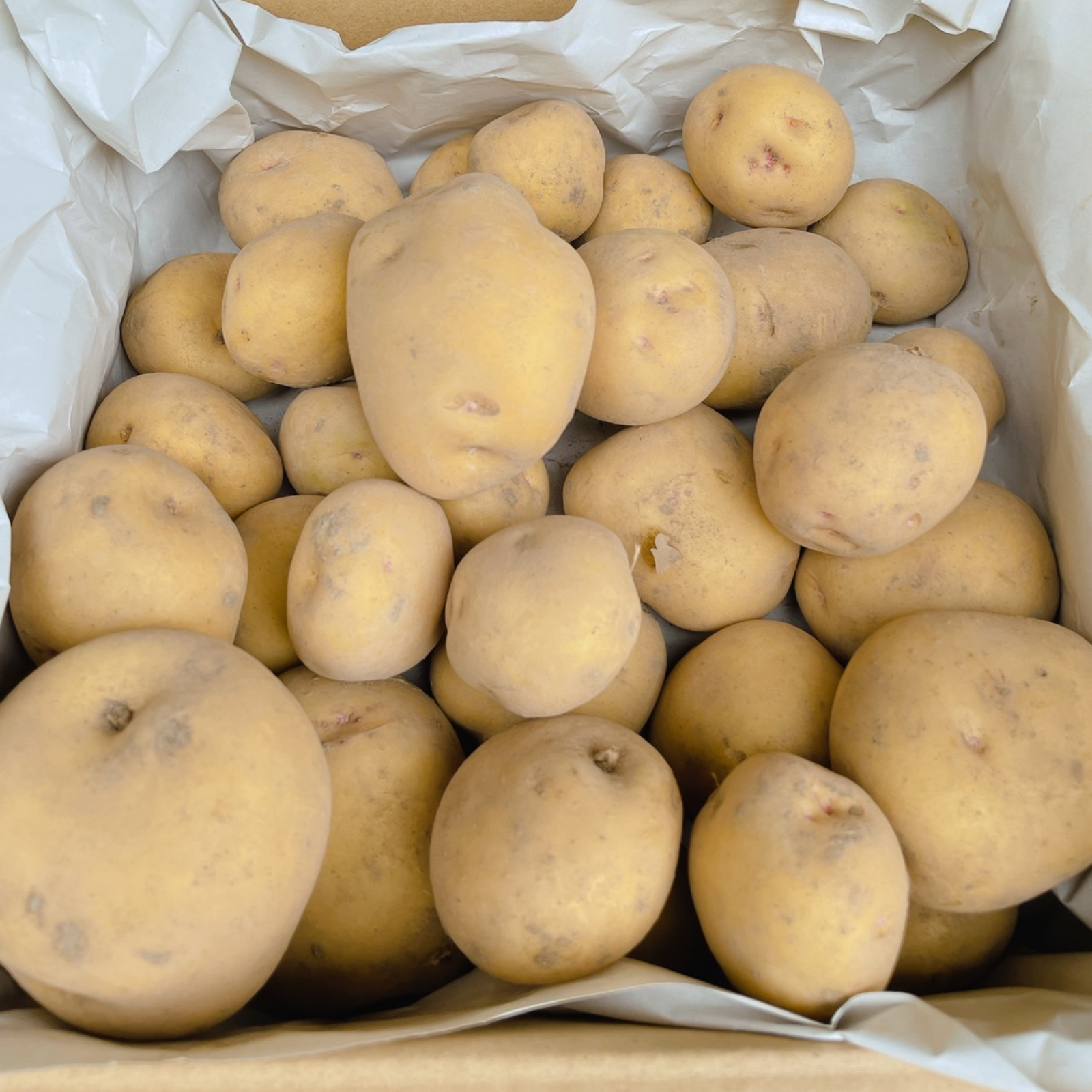 新じゃがいも【キタアカリ3kg】甘味が強くて濃厚☆無農薬栽培 