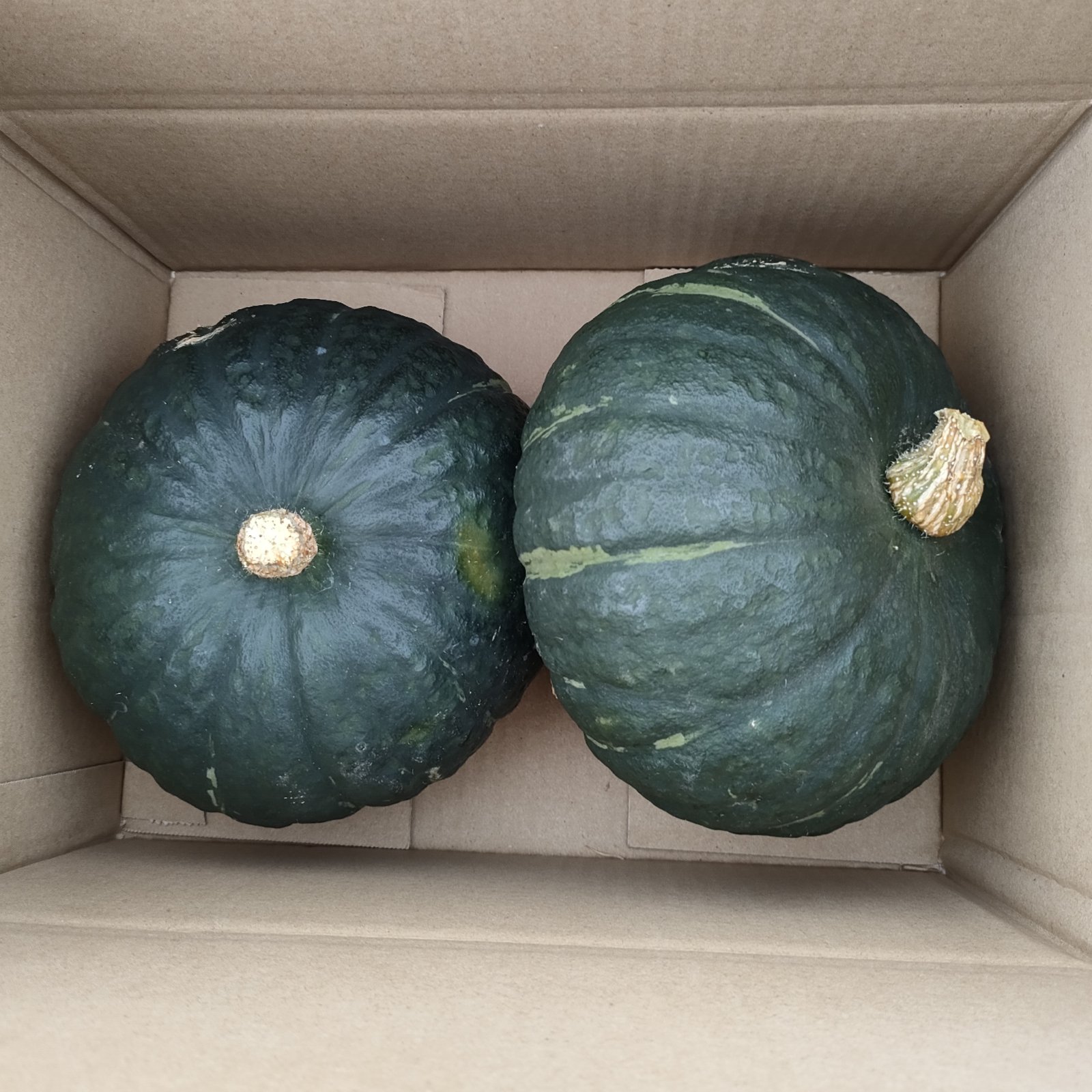 b3d062bc24344e291f84e71bfd5f64