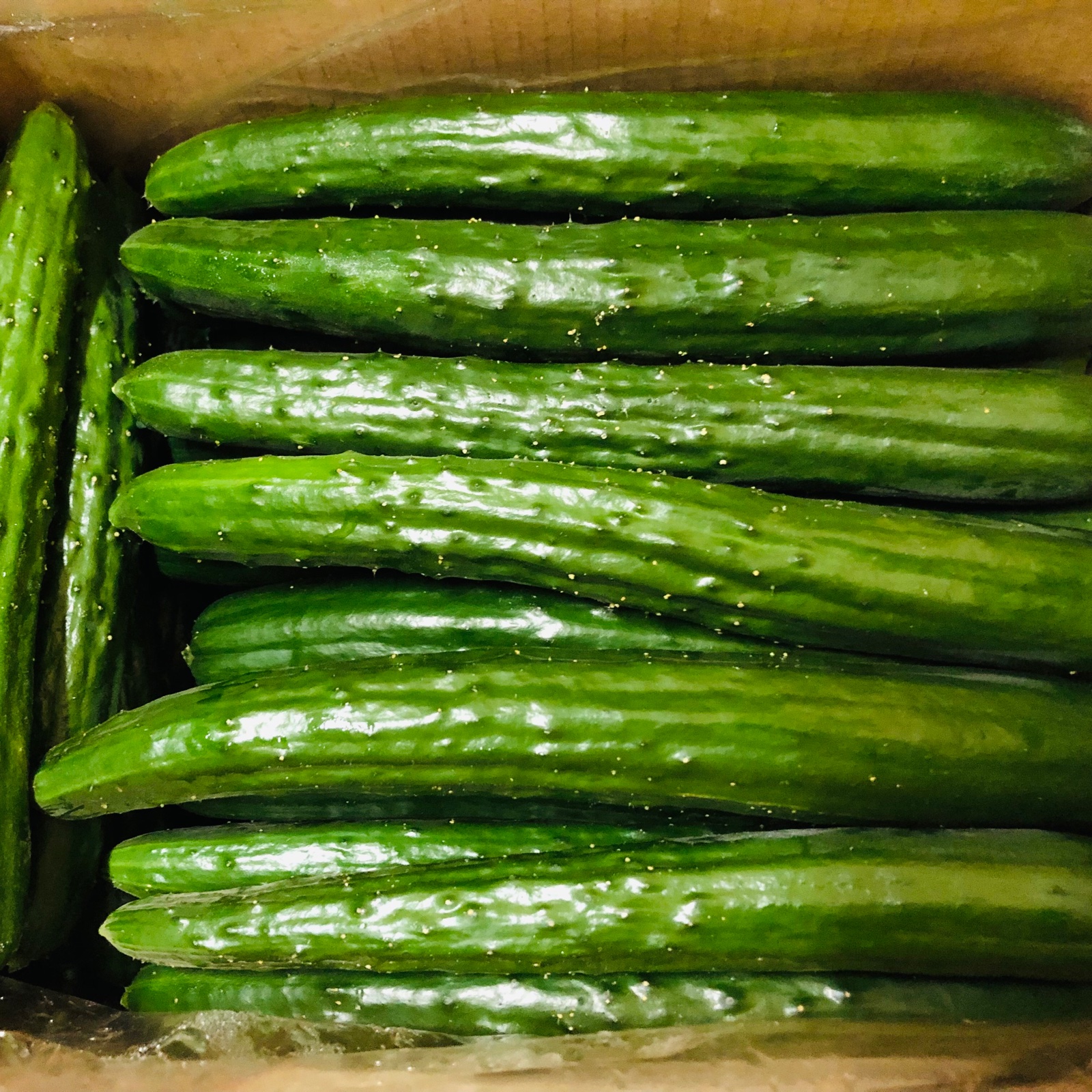 ぬまちゃんさんが Oshikanefarm の 新鮮朝採りきゅうり3kg(24