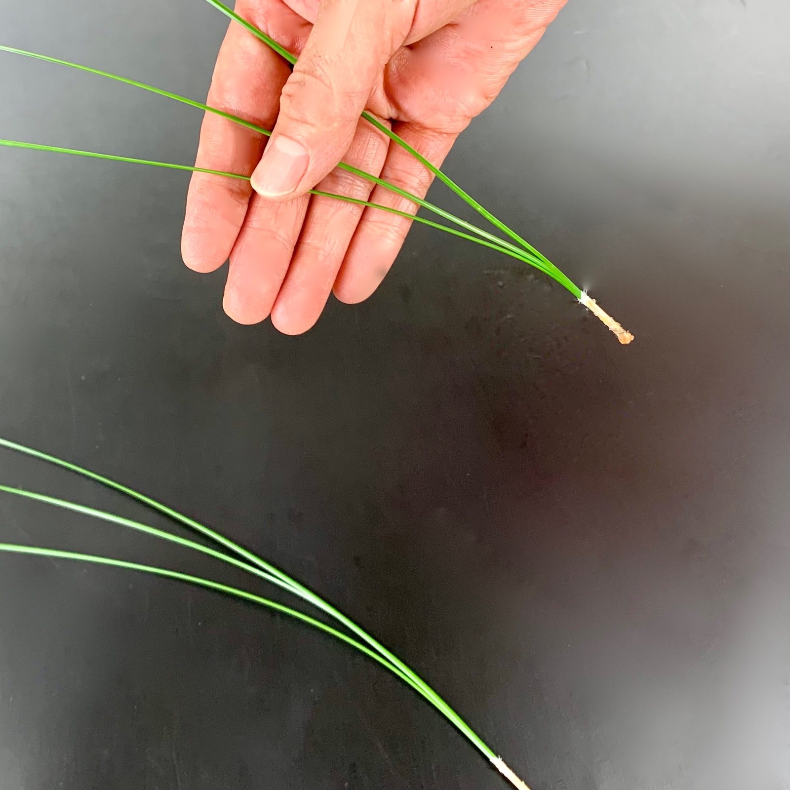 b3f516b89fdb019e3867b3155158d4