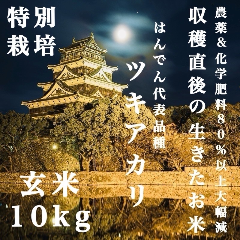 収穫から3日~7日以内の【 生きたお米 】農薬&化学肥料80%以上大幅減