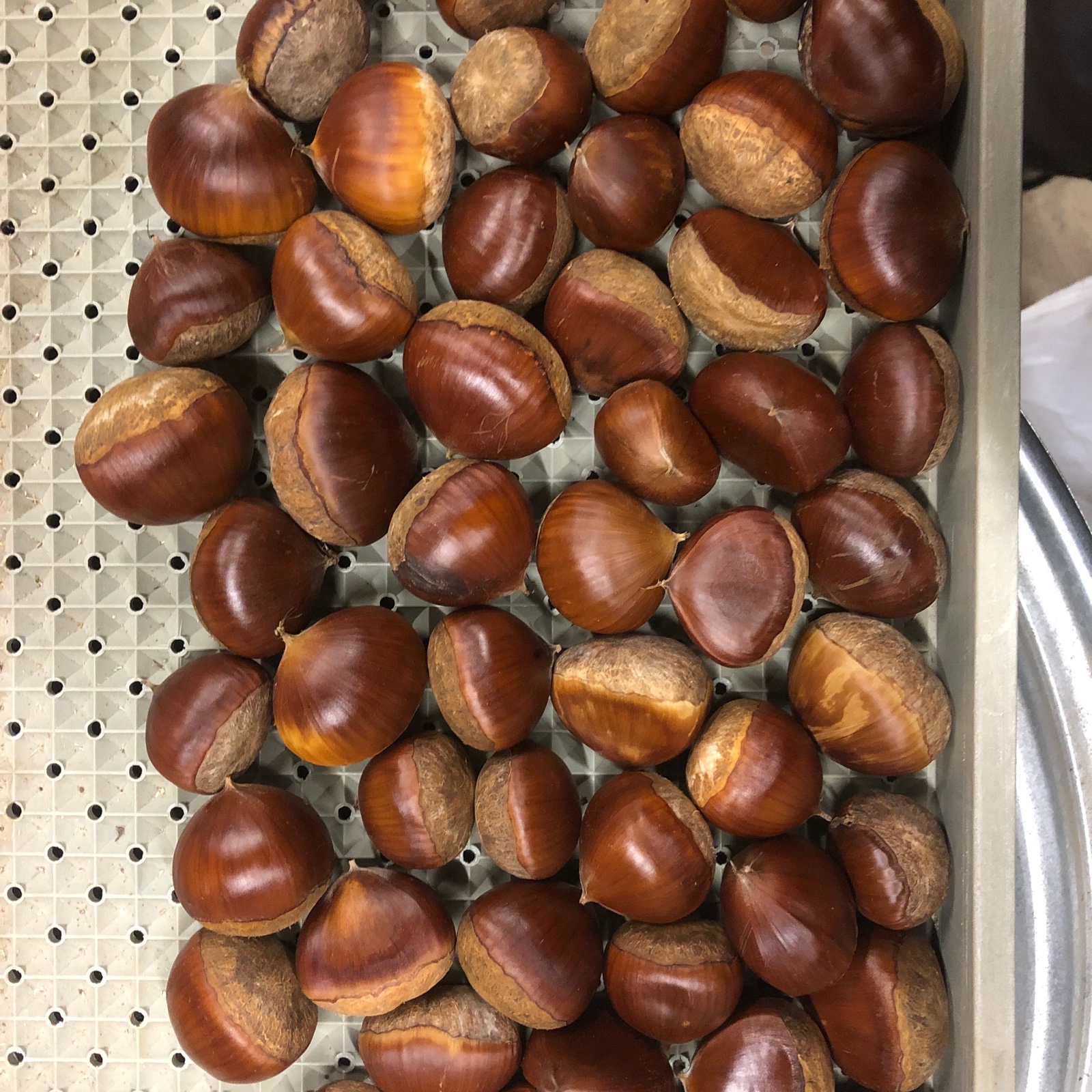 冷凍便専用 無農薬放任栽培生栗1Kg ｜ 果物/栗 産直アウル 農家・漁師