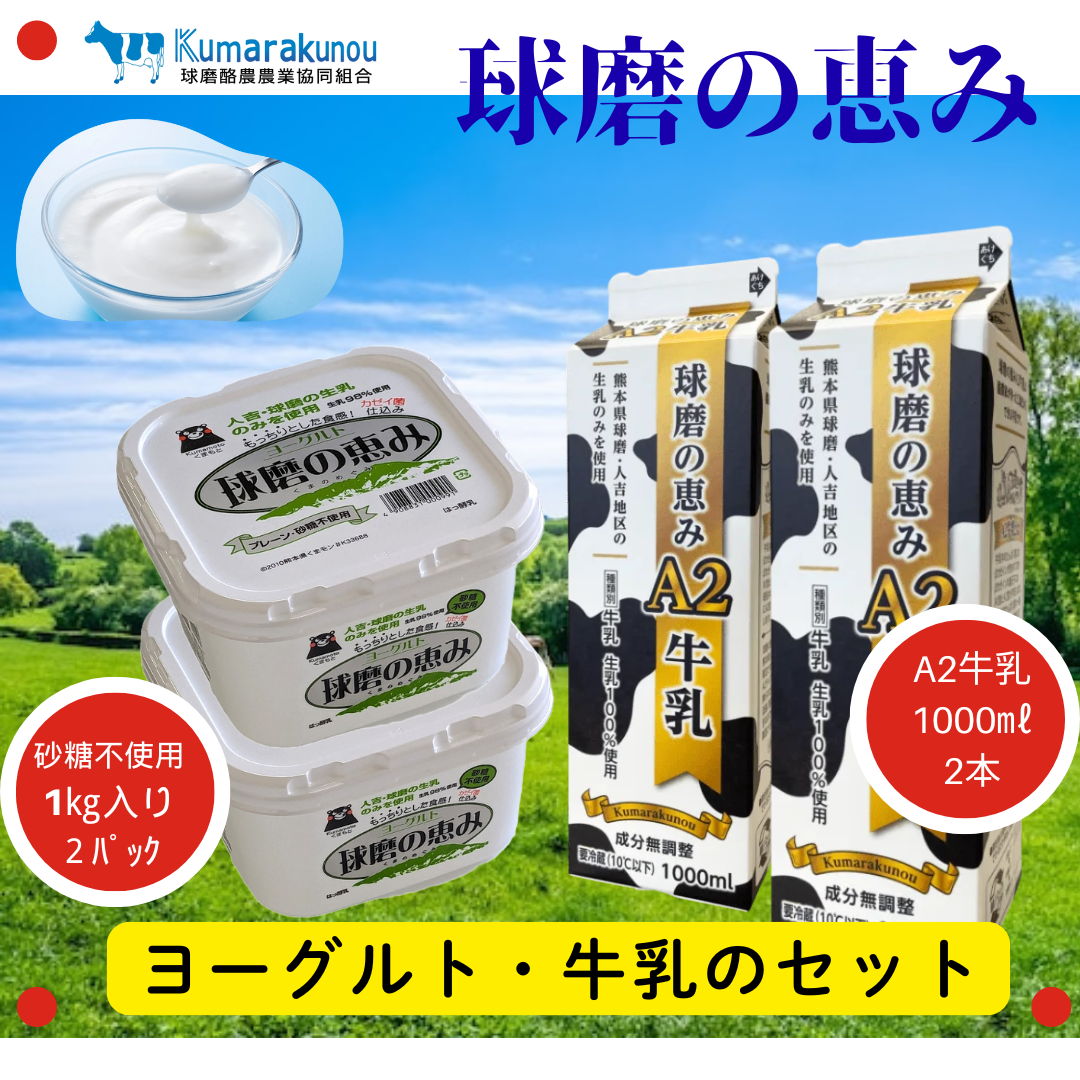 A2牛乳・無糖YGセット(球磨の恵み) | 乳製品/牛乳 産直アウル 農家から