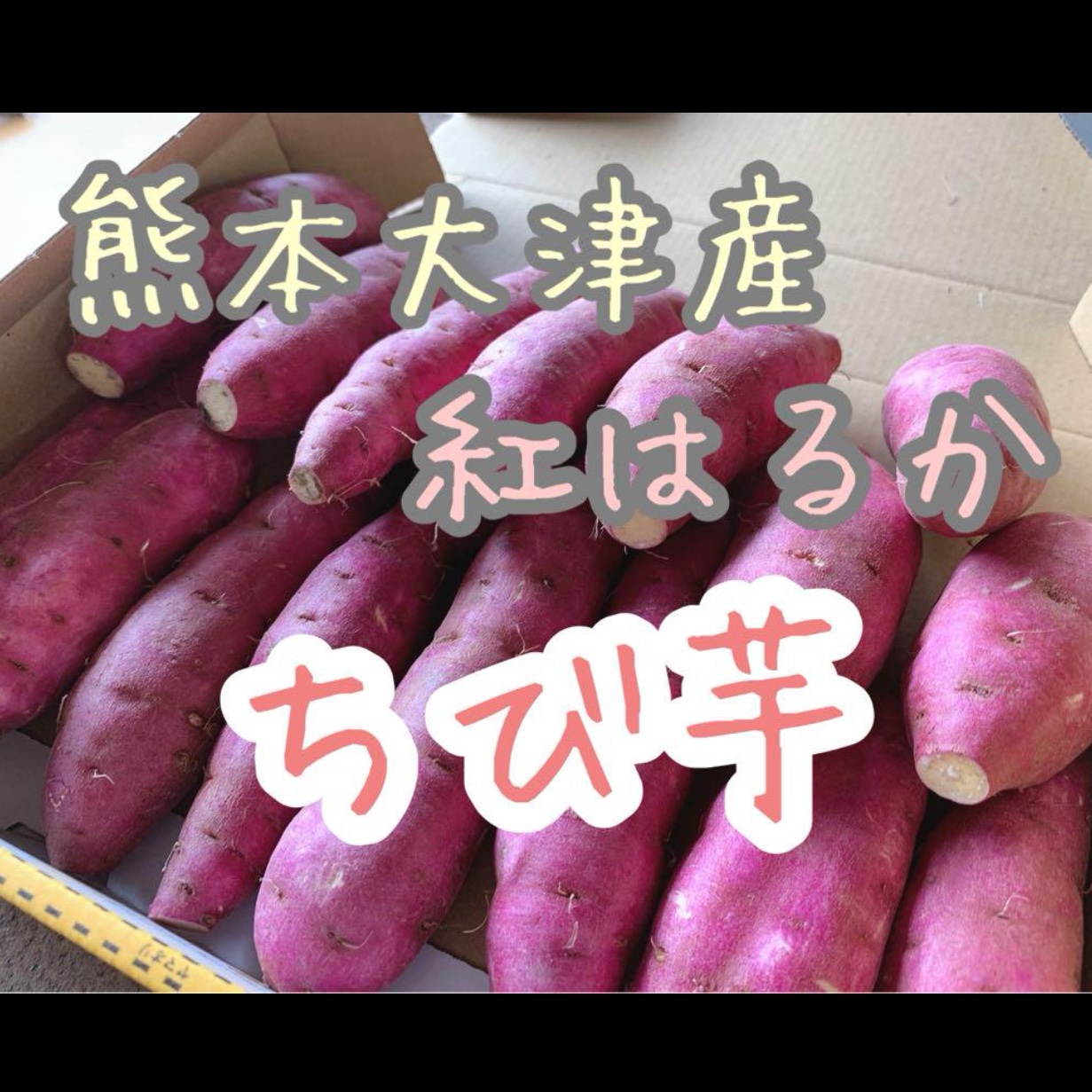 さつまいも 紅はるか 約2キロ 2S,3Sサイズのみ ｜ 野菜/さつまいも