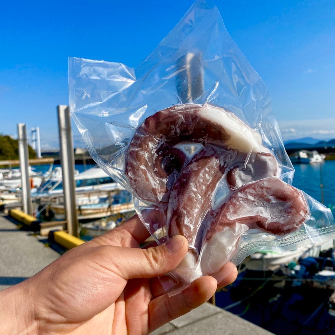 お試し商品》瀬戸内海タコ足ボイル2本《簡易梱包でお届け☆》 | 魚介類