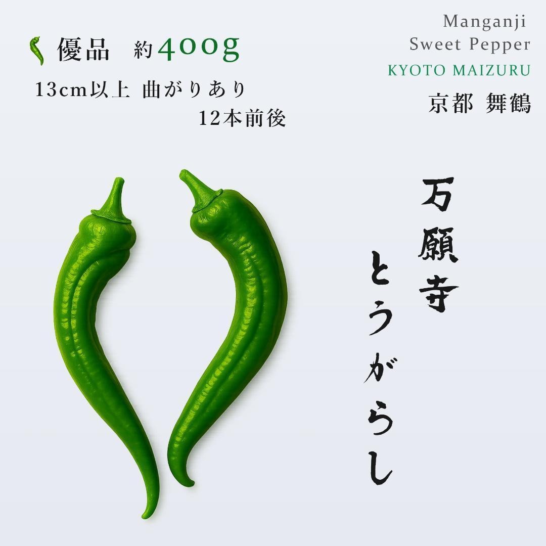 【京都・舞鶴産】朝採れ直送 万願寺とうがらし-良品8.5㌔ 京都・舞鶴産】朝採れ直送 万願寺とうがらし 優品 13cm以上 約400g