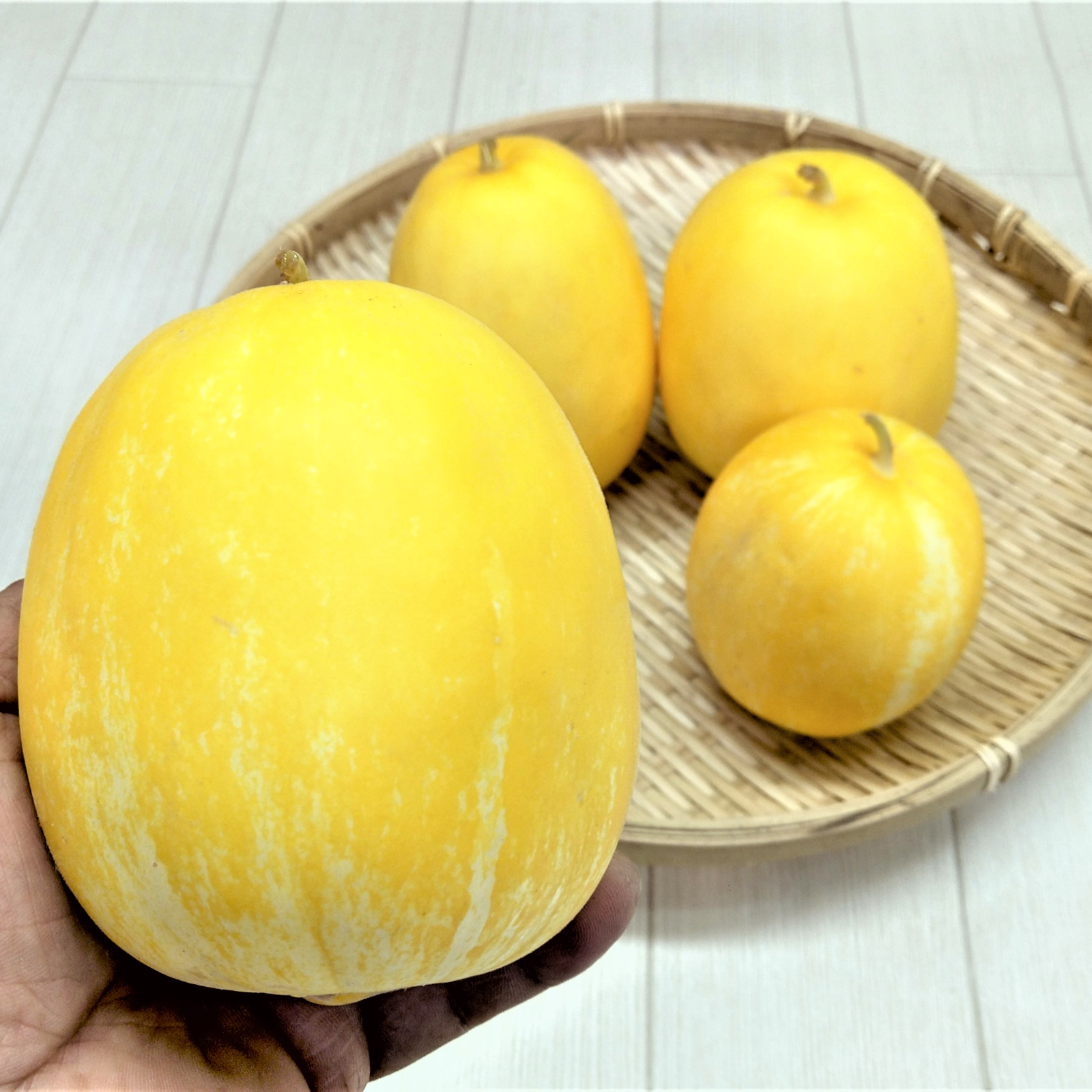 瓜　農薬不使用　マクワウリ　ウリ　茨城県産　60サイズ2kg　今が旬　漬物最高 農薬不使用（無農薬）栽培 さっぱりした夏の甘さ！まくわうり 金太郎