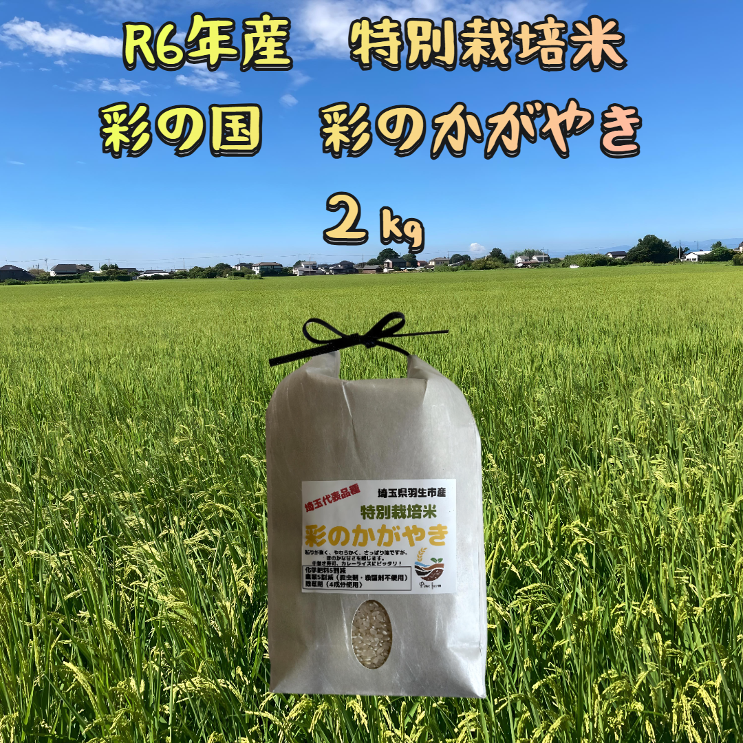 R6年産 特別栽培米 彩の国 彩のかがやき 2㎏×1袋 ｜ 米・穀物/米/精米