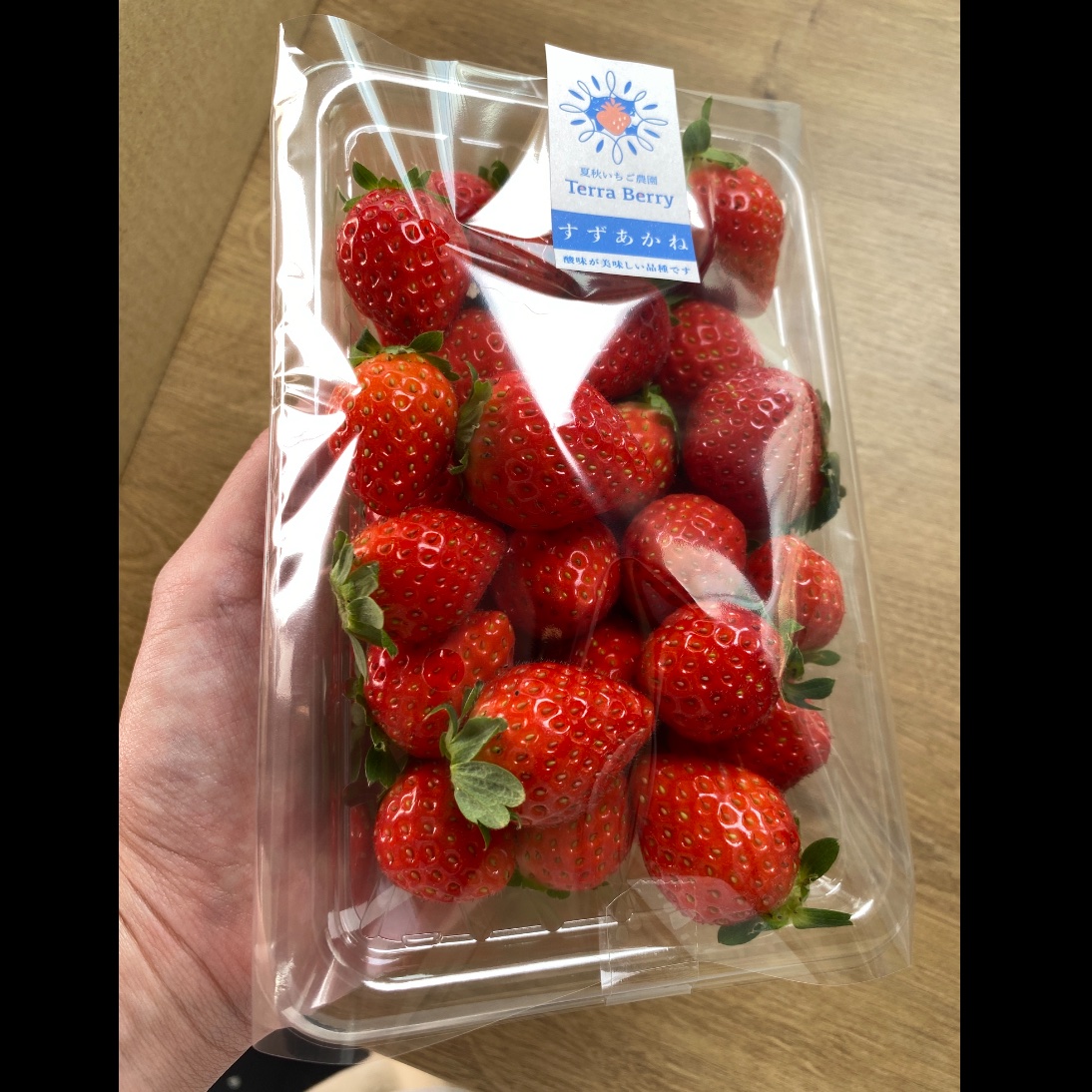 夏秋いちご【サイズバラ4P】 ｜ 果物/いちご 産直アウル 農家・漁師