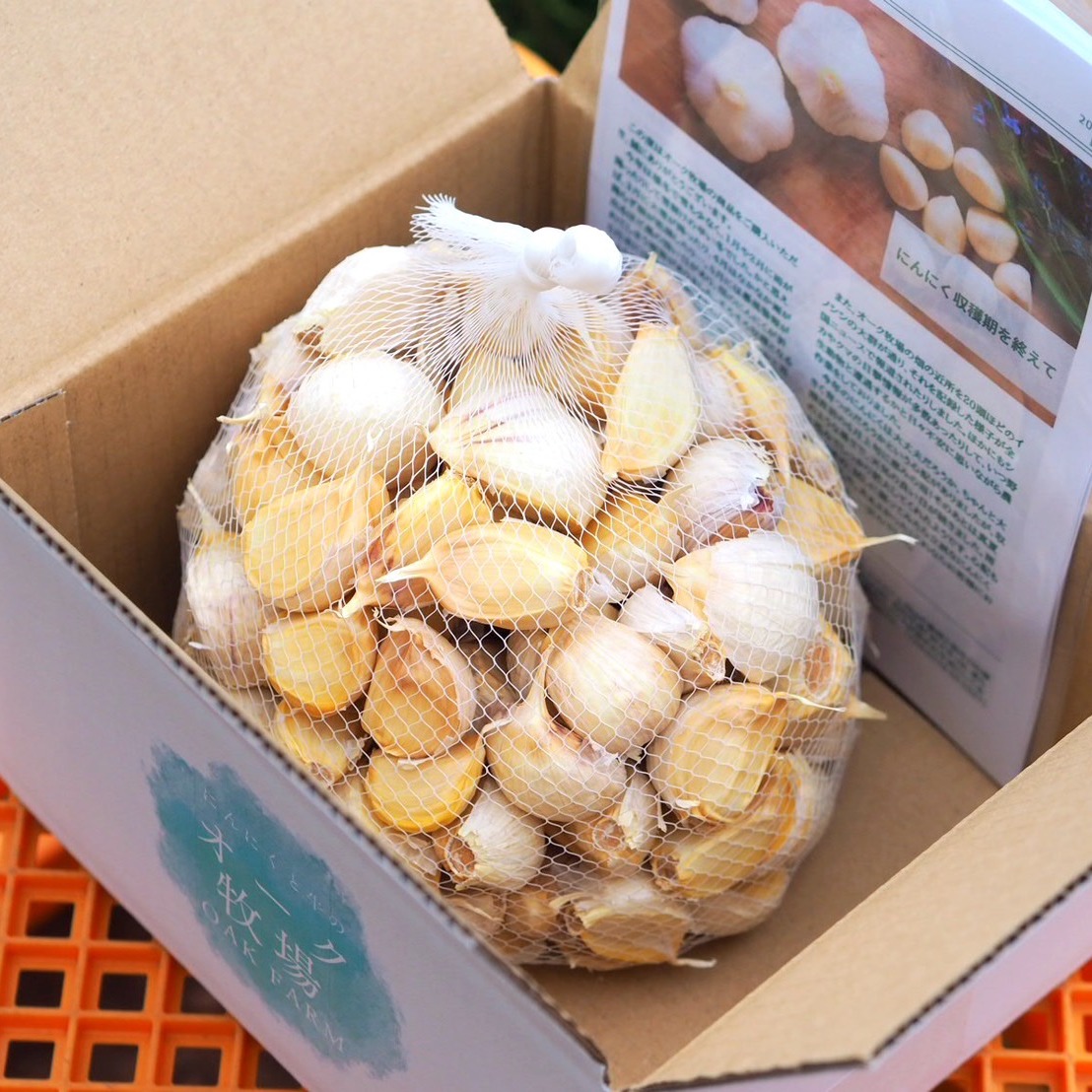 田子町産にんにく【バラ10kg】7月中旬以降お届け ｜ 野菜/にんにく
