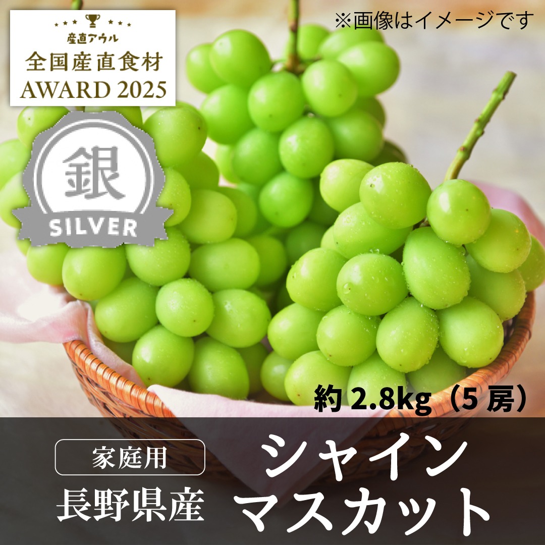 銀賞】シャインマスカット2.8kg（5房・家庭用）／本気農場いけだ