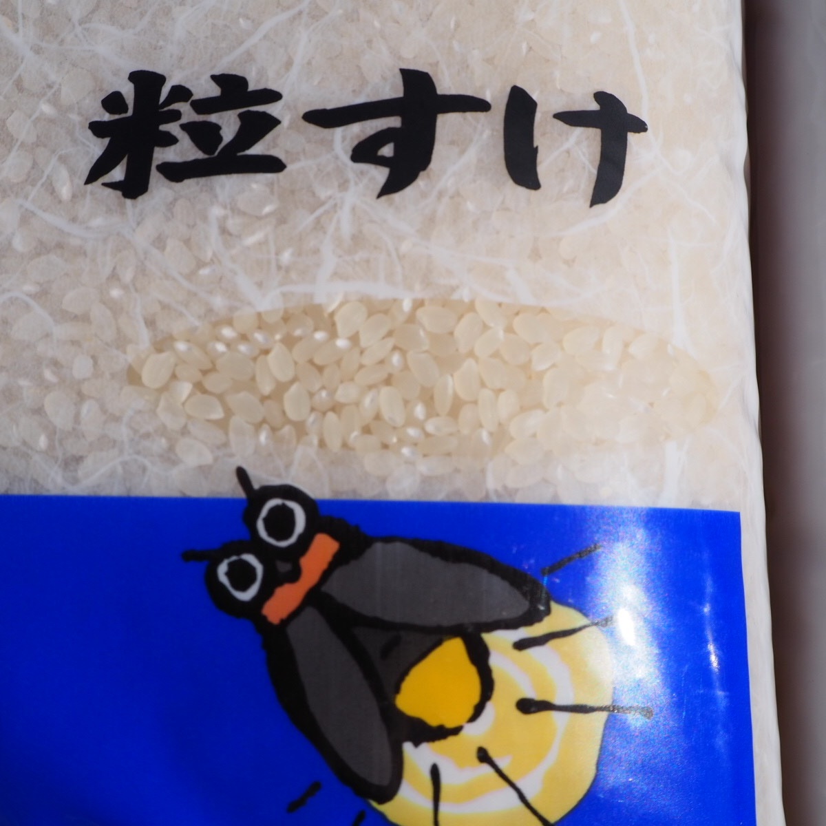 白米 千葉県産お米 令和7年産 千葉県産ふさこがね