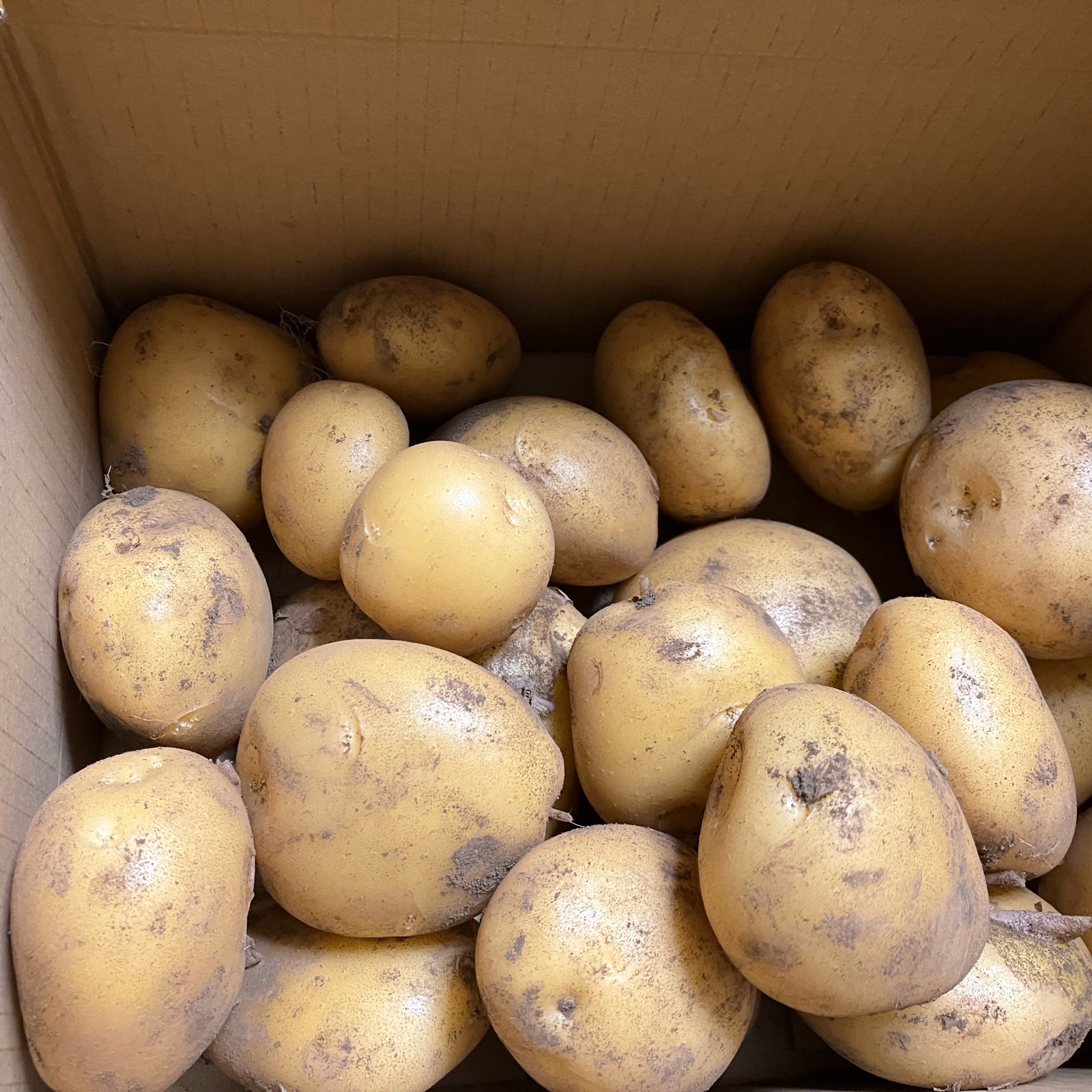 ながさき黄金 ｜ 野菜/じゃがいも 産直アウル 農家・漁師など生産者