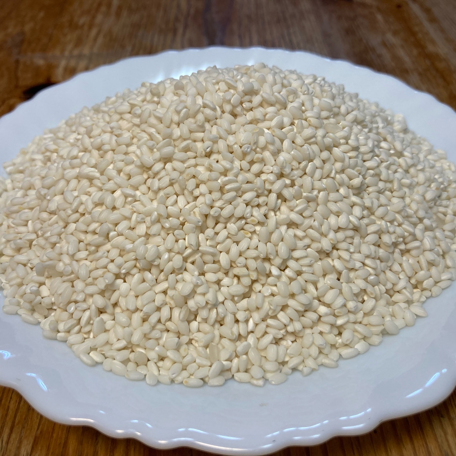 岐阜県産 もち米（モチミノリ） 20kg 玄米 岐阜県産 もち米（モチミノリ） 20kg 玄米