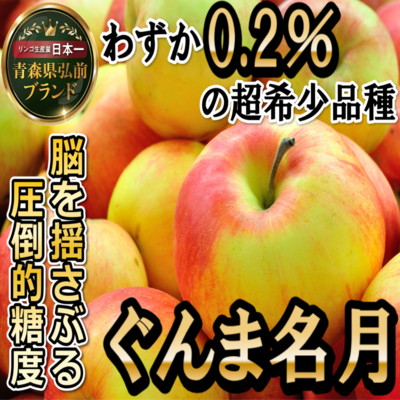 お得10k　ぐんま名月　じぃじの美味しい林檎