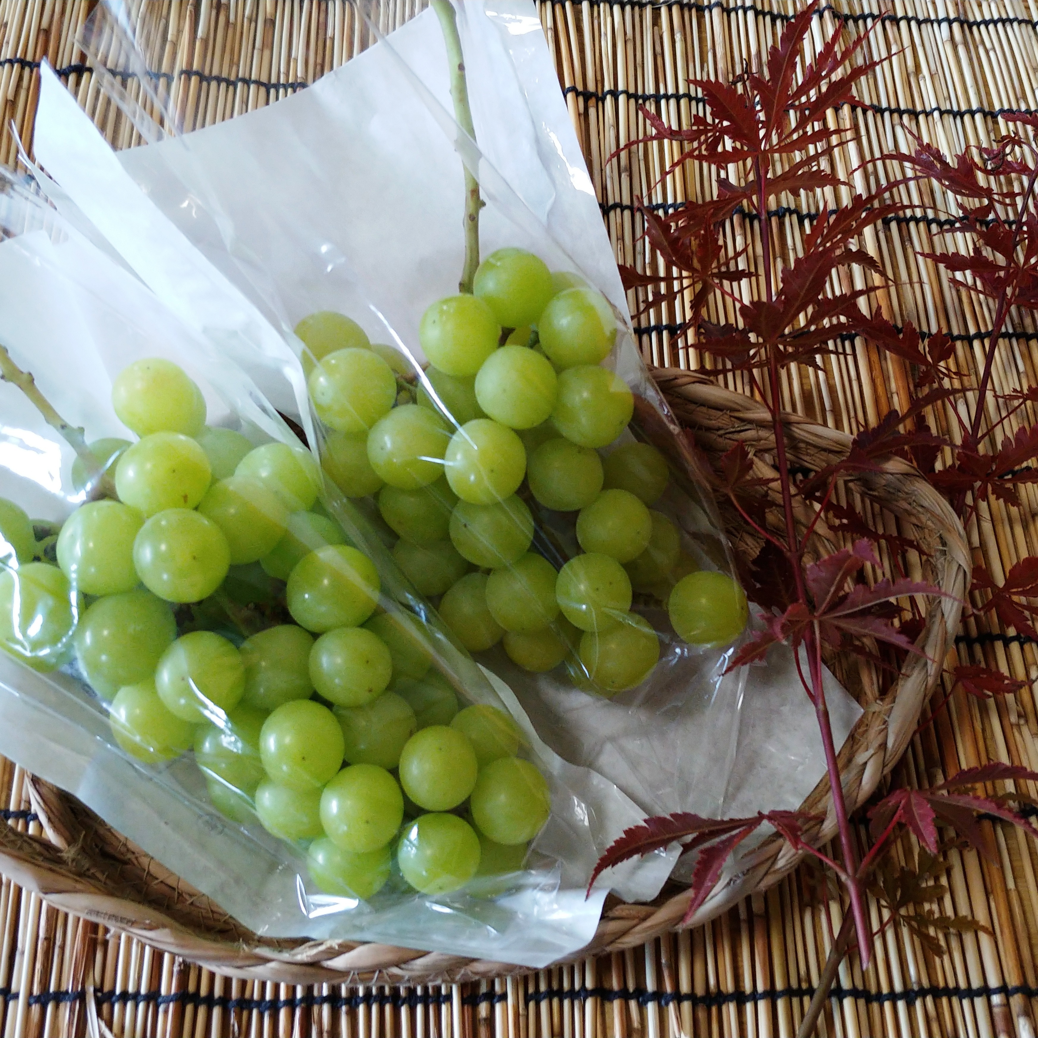 減農薬栽培】シャインマスカット 約1kg（3～4房）※粒の大きさ・数 