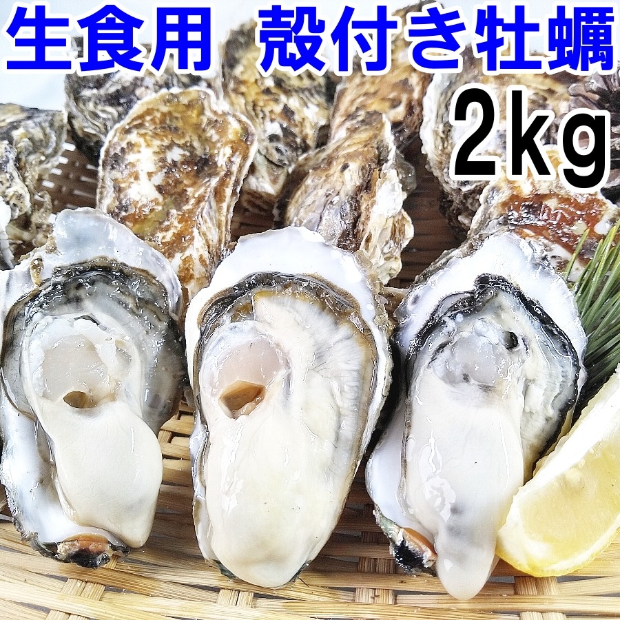 生食用 殻付き 牡蠣 2kg（14~35粒）2キロ 牡蠣 殻付き 牡蛎 牡蠣