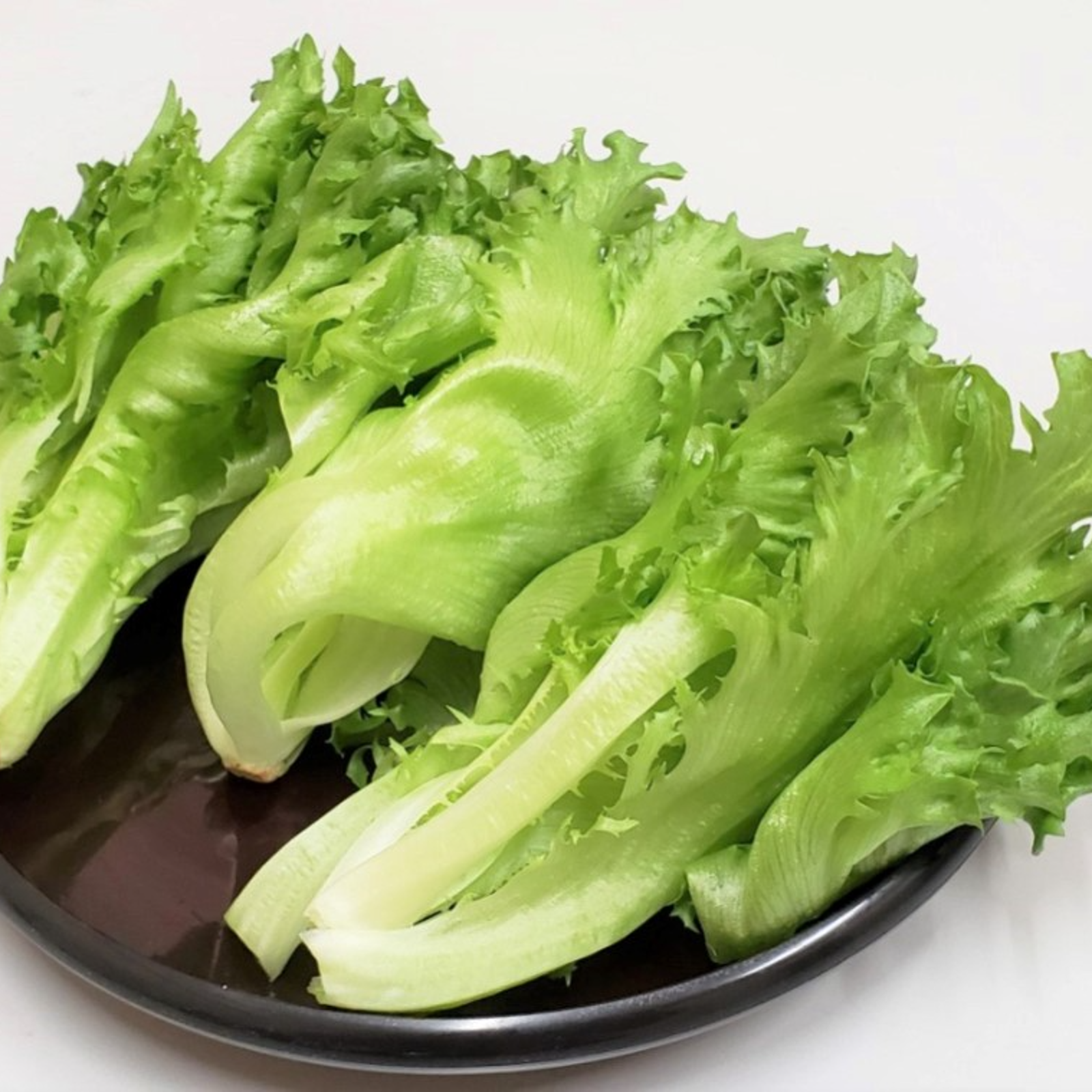 フリルレタス（野菜＞レタス）の産地直送商品一覧（通販・お取り寄せ