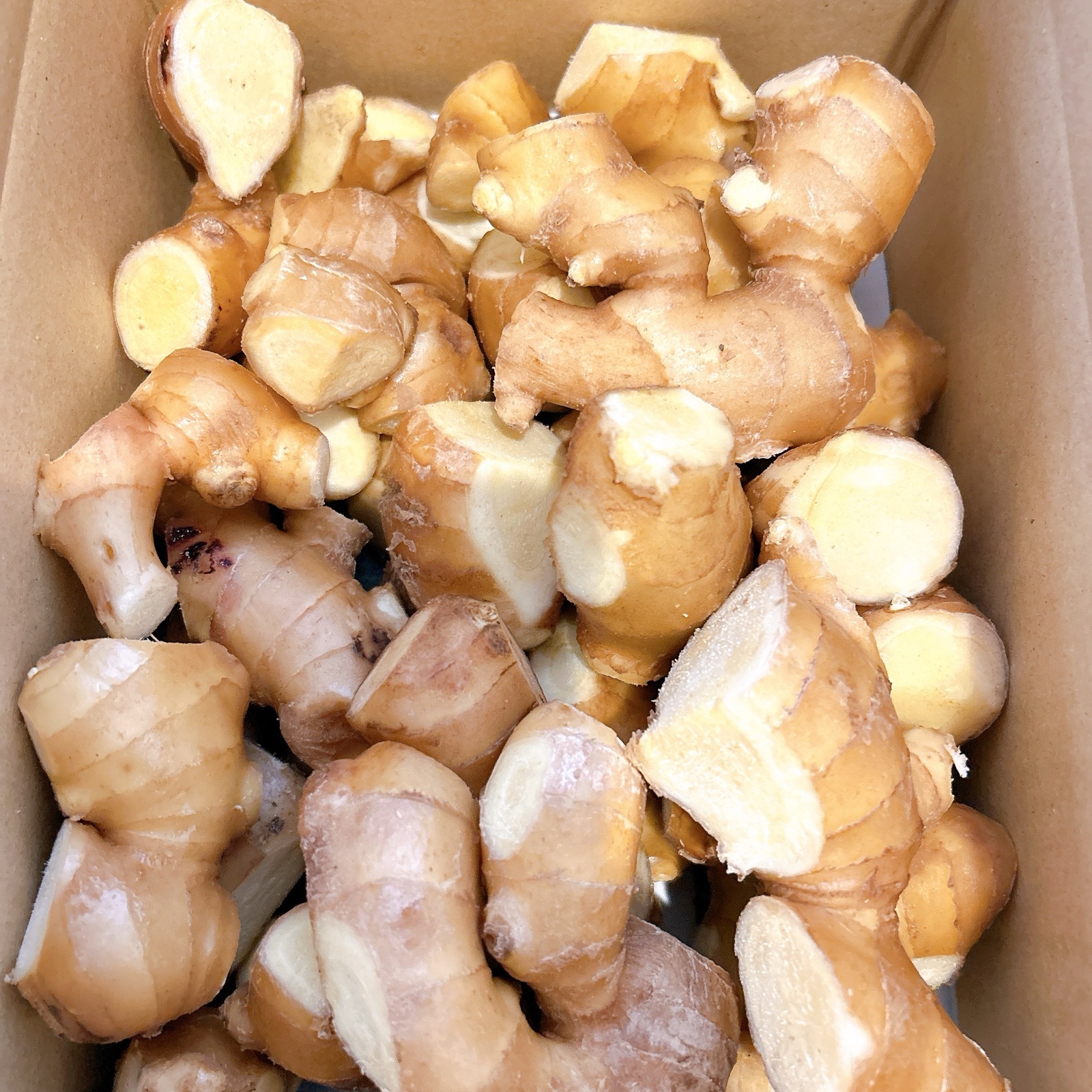 カット済み』高知県産囲生姜2Kg ｜ 野菜/薬味 産直アウル 農家・漁師