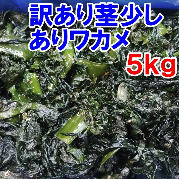 400g×10袋 4kg 三陸産 無くなり次第終了【大容量　初物】塩蔵わかめ