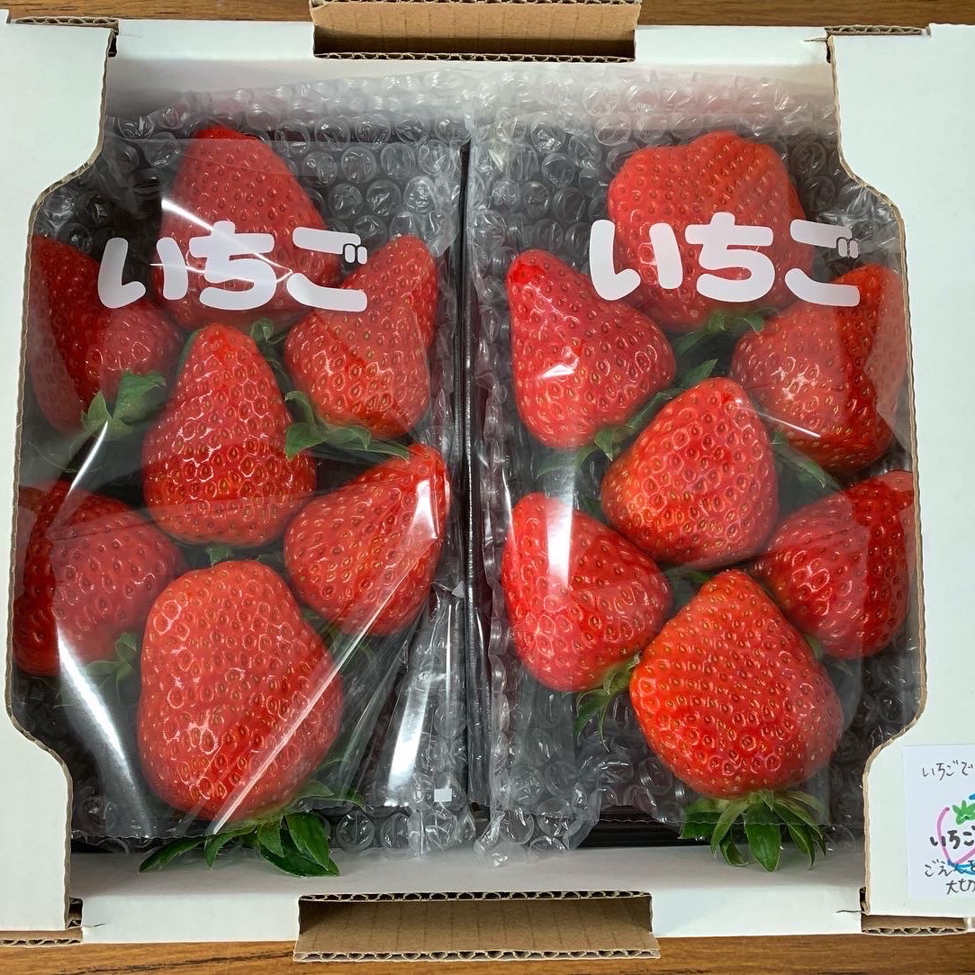 ☆ 食べ頃 大粒 ☆ 紅ほっぺ（2パック入り） ｜ 果物/いちご 産直