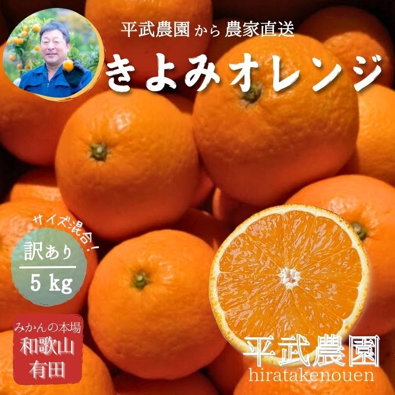 農家直送！きよみオレンジ 訳あり5kg≪サイズ混合≫ ～蛍飛ぶ町から旬