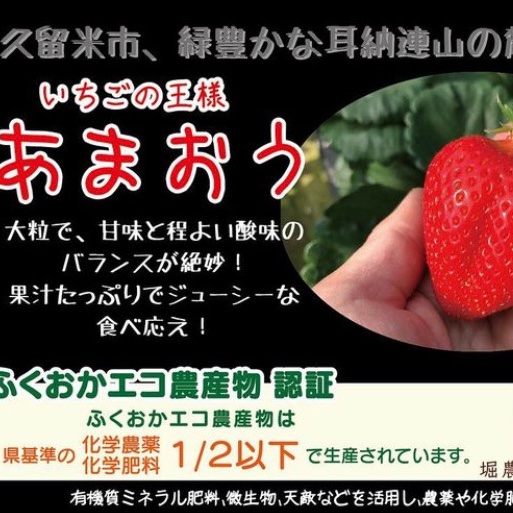 いちご　苺　イチゴ　減農薬 減農薬・無化学肥料いちご 1kg(250g×4） | PAY ID