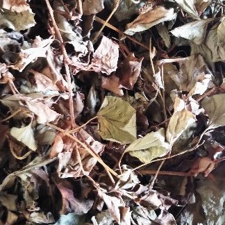 乾燥ドクダミ ｜ お茶/その他のお茶 産直アウル 農家・漁師など生産者