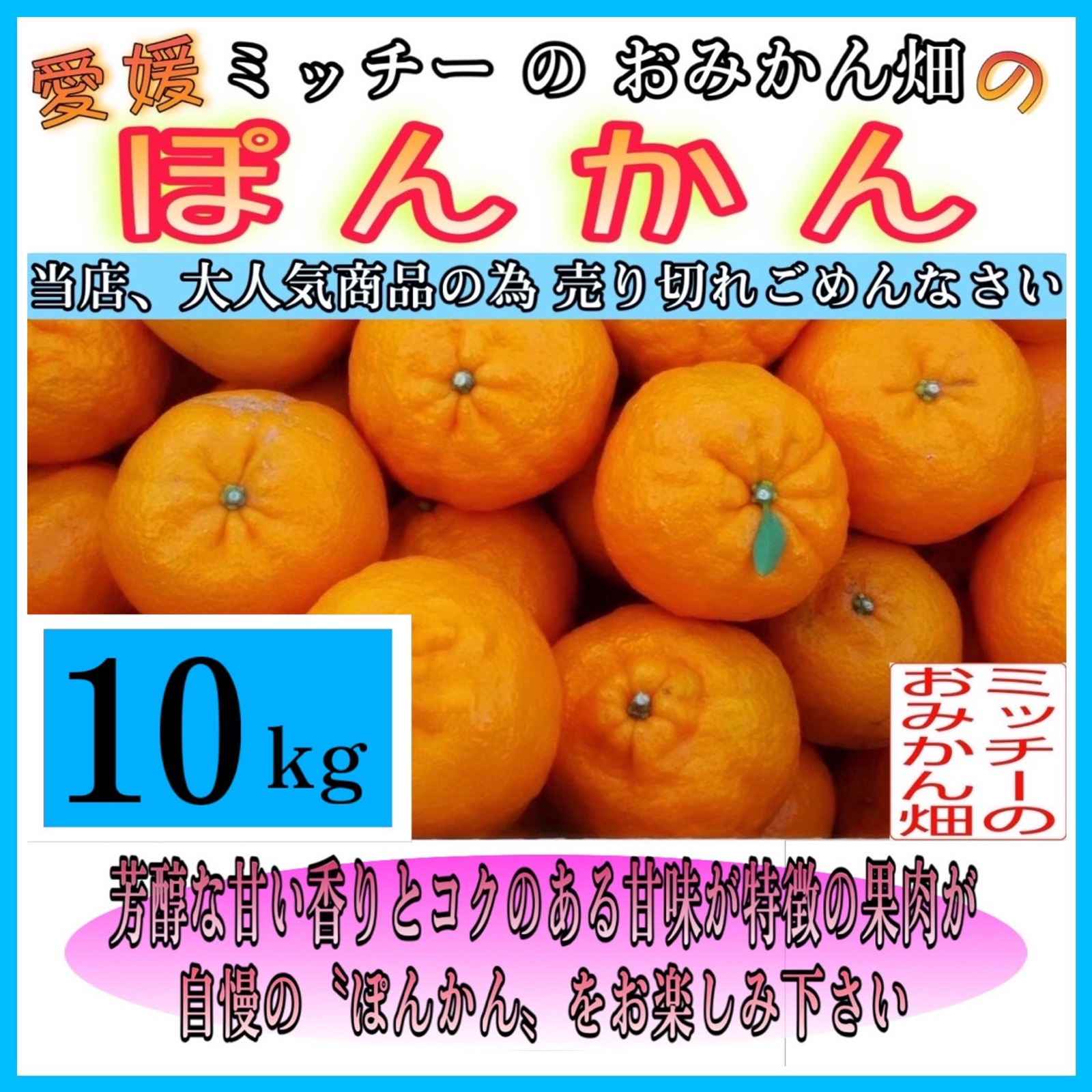 みかんより味が濃いぽんかん10