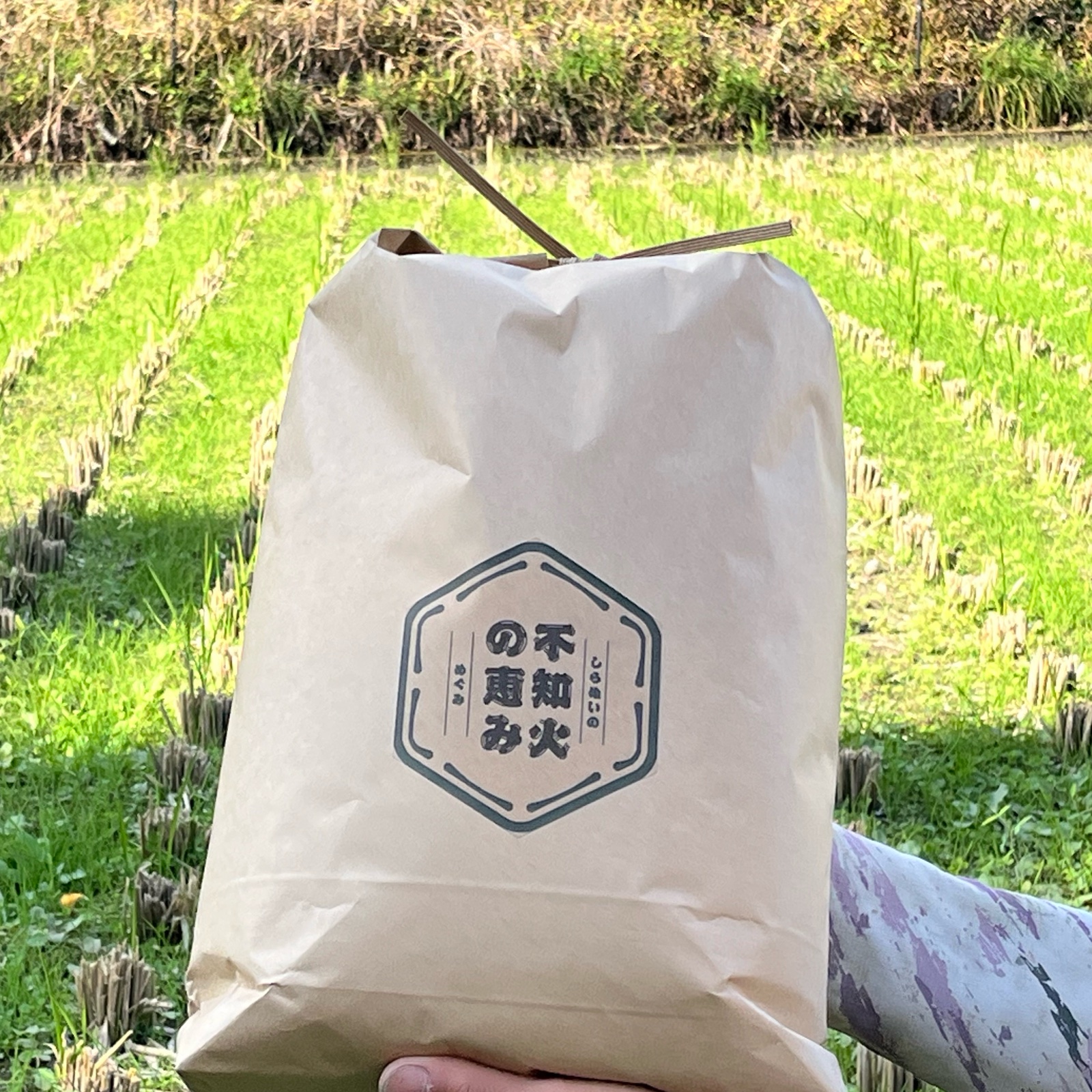 令和7年度 熊本県産 くまさんの輝き 玄米10kg | 米・穀物/玄米 産直